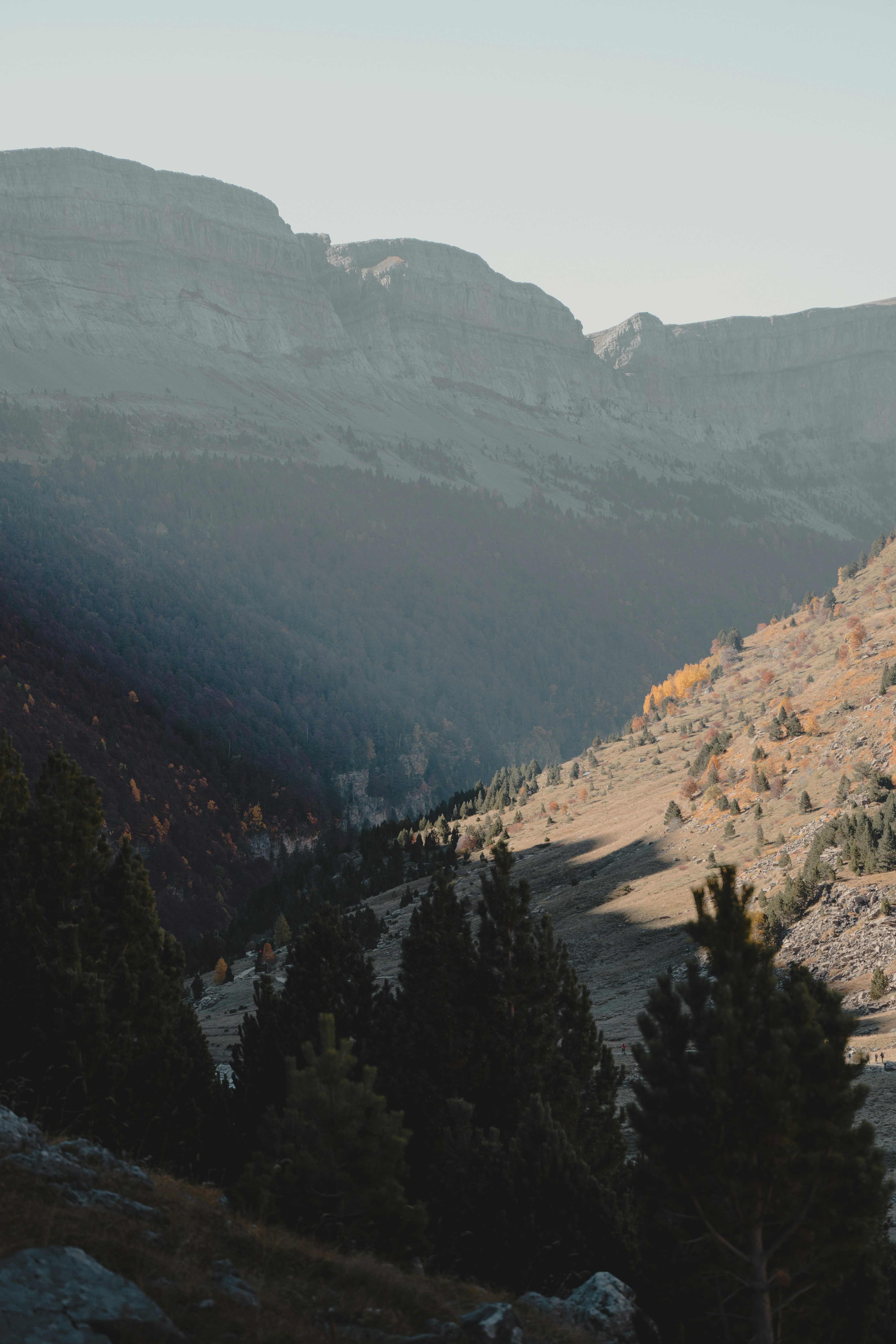 Photo by michielannaert