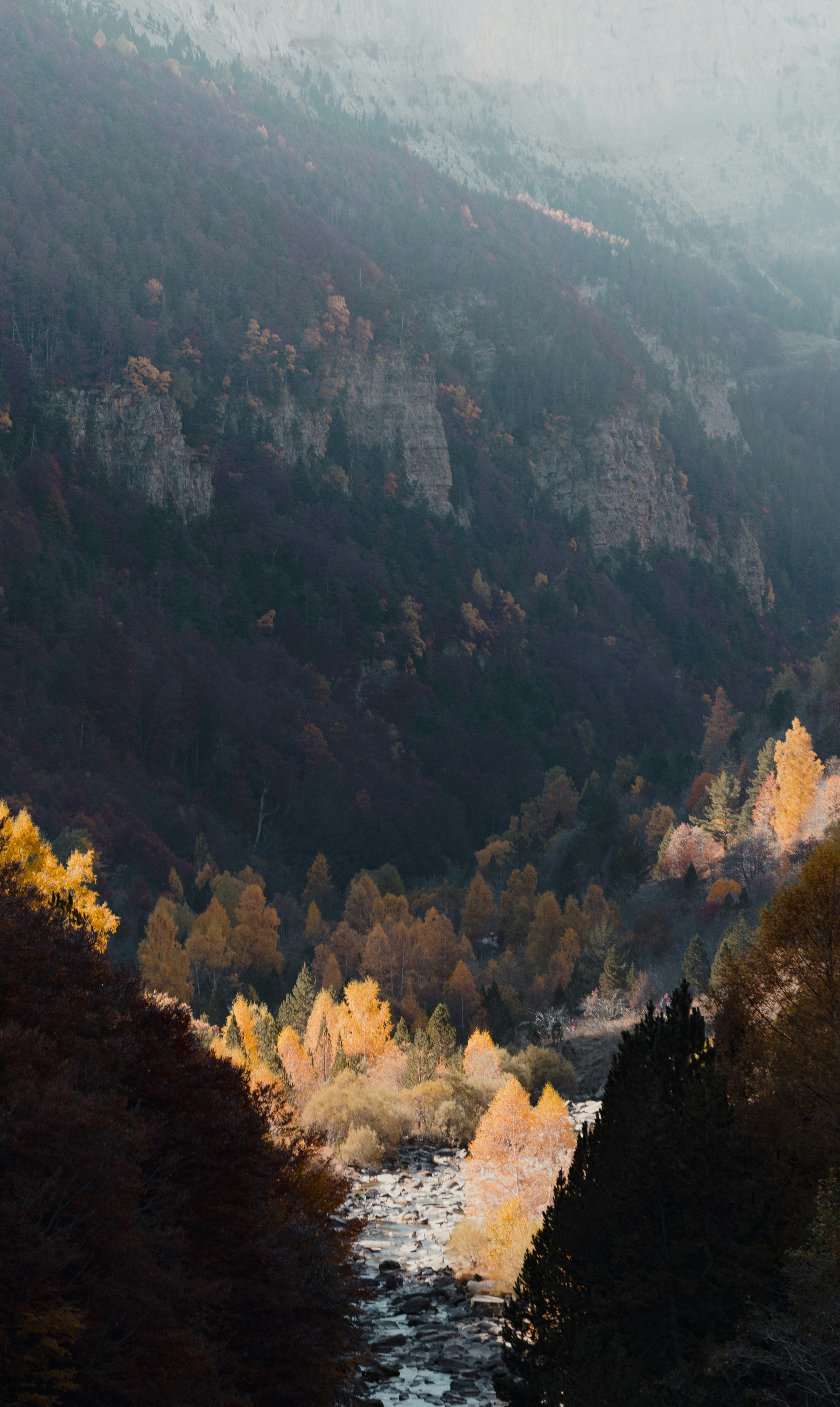 Photo by michielannaert