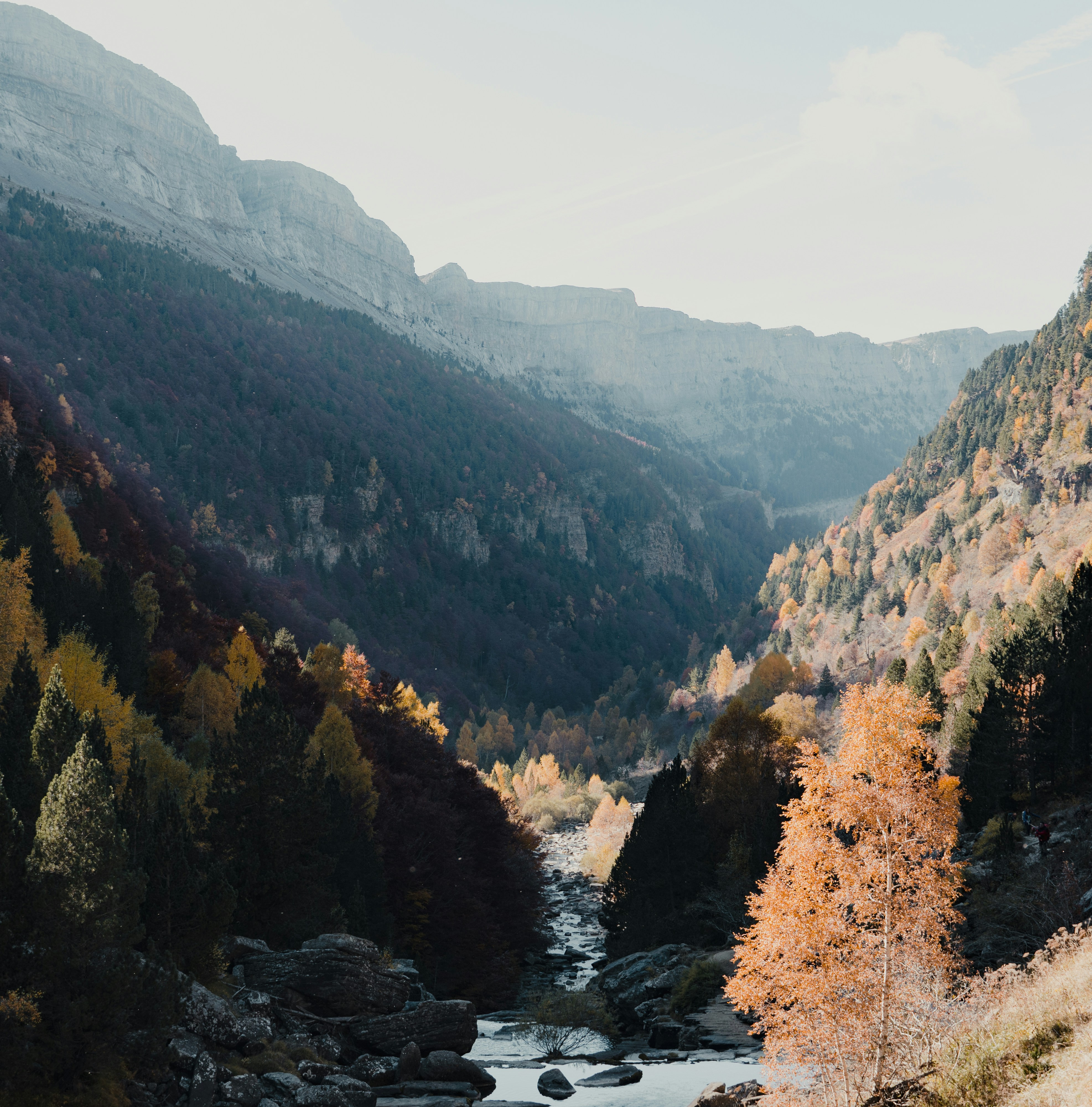 Photo by michielannaert