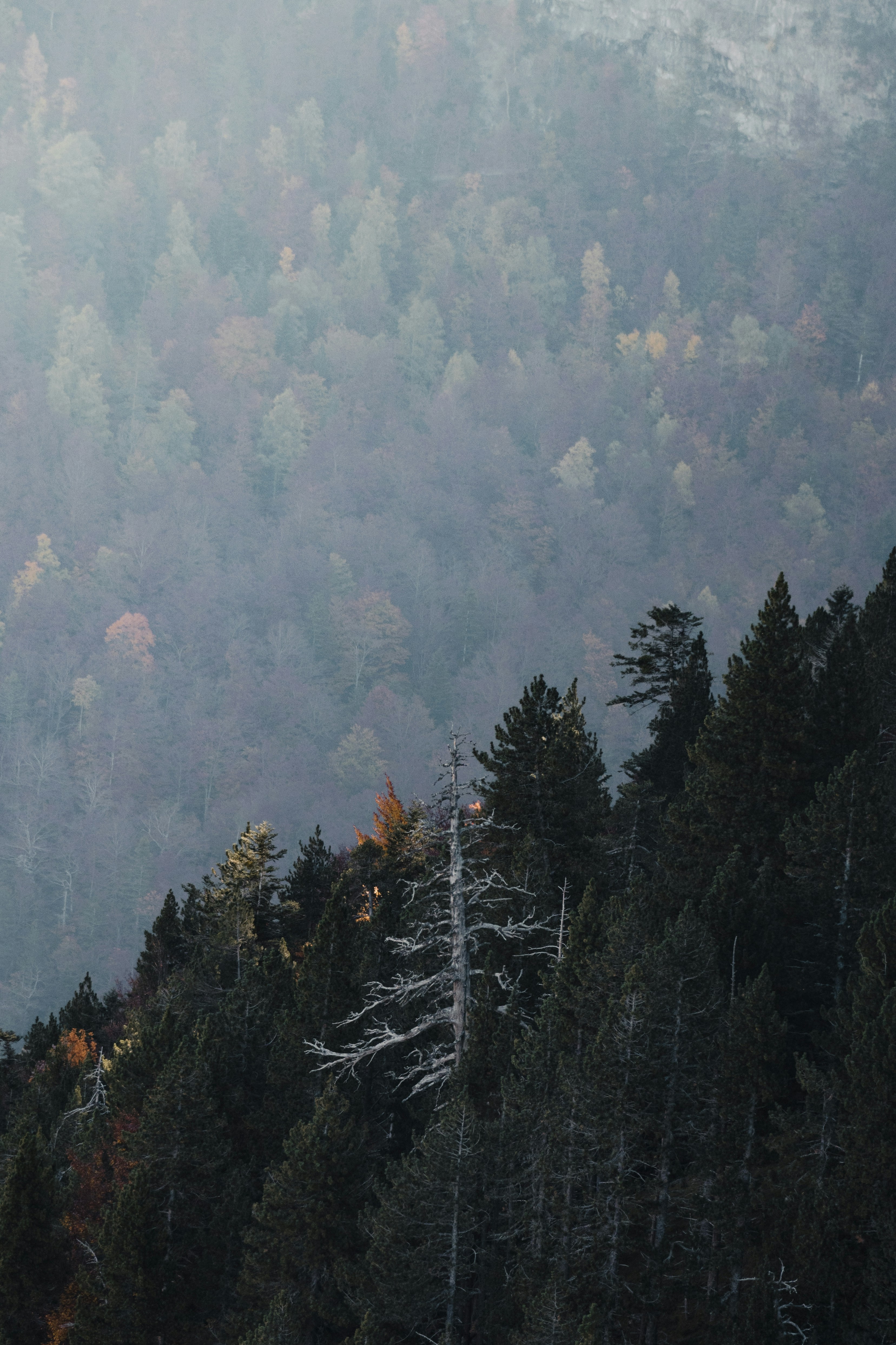 Photo by michielannaert