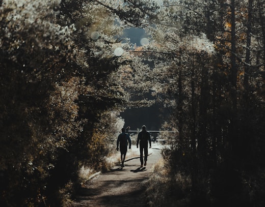 two people walking down a path in the woods