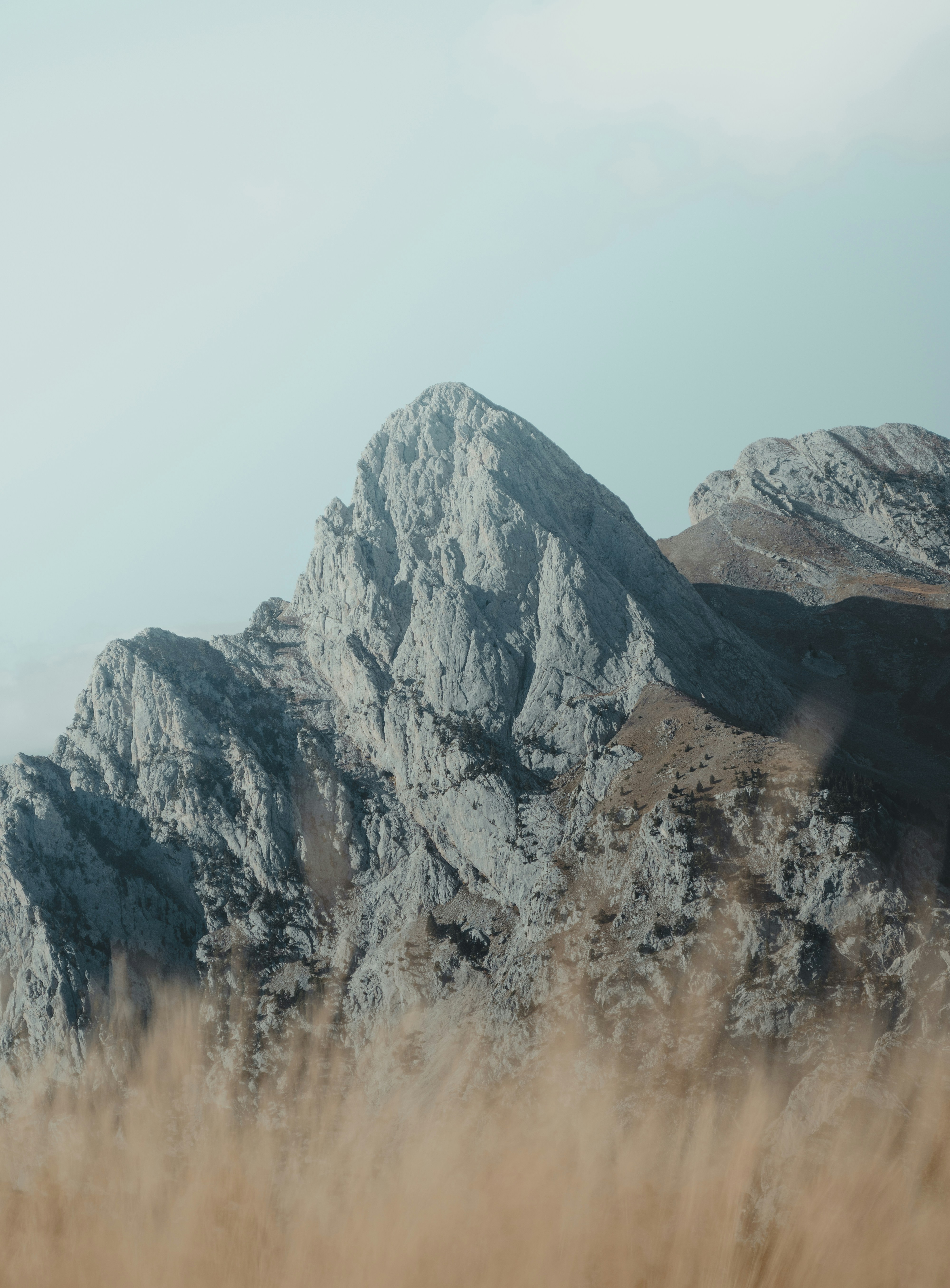 Photo by michielannaert