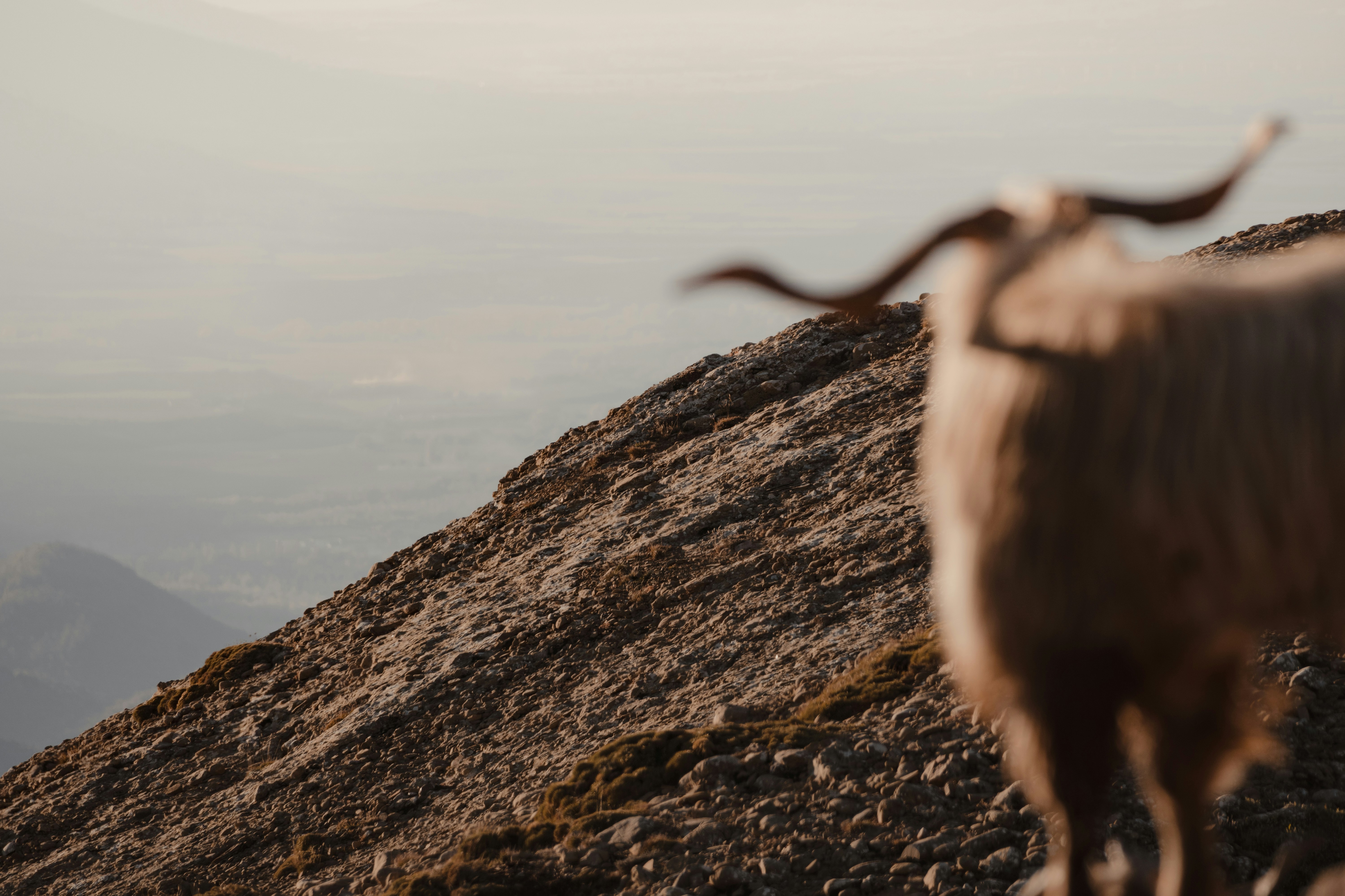 Photo by michielannaert