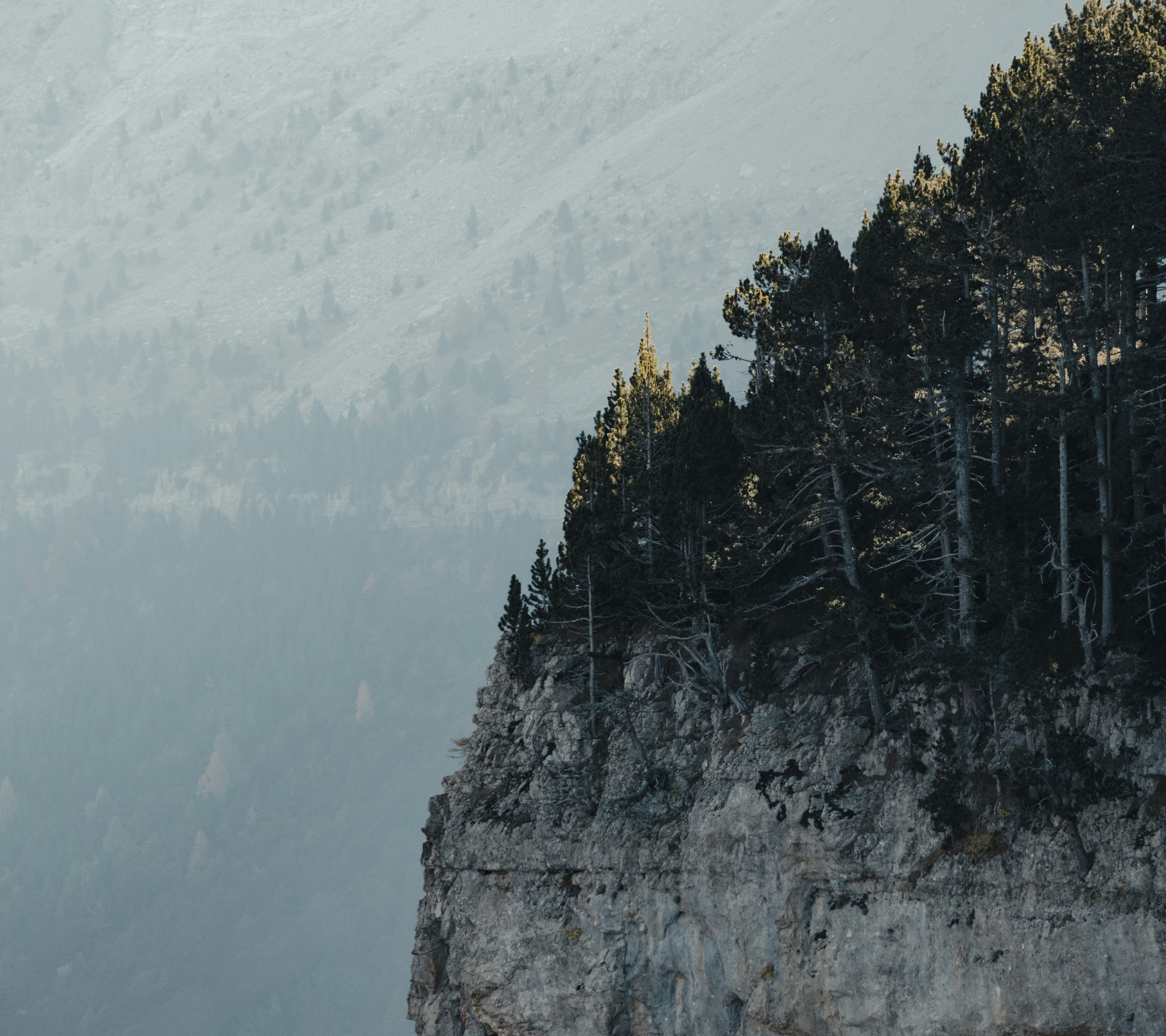 Photo by michielannaert