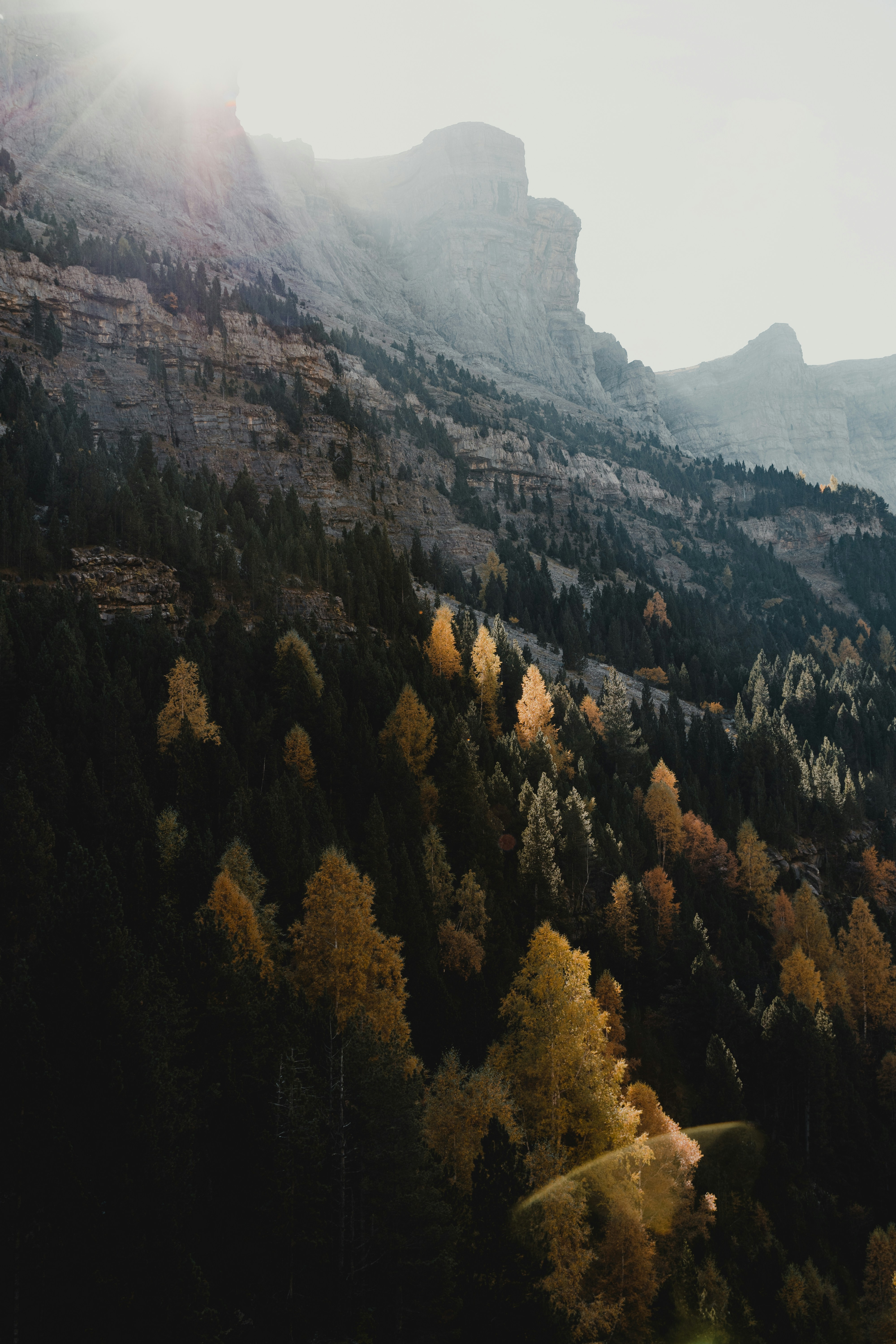 Photo by michielannaert