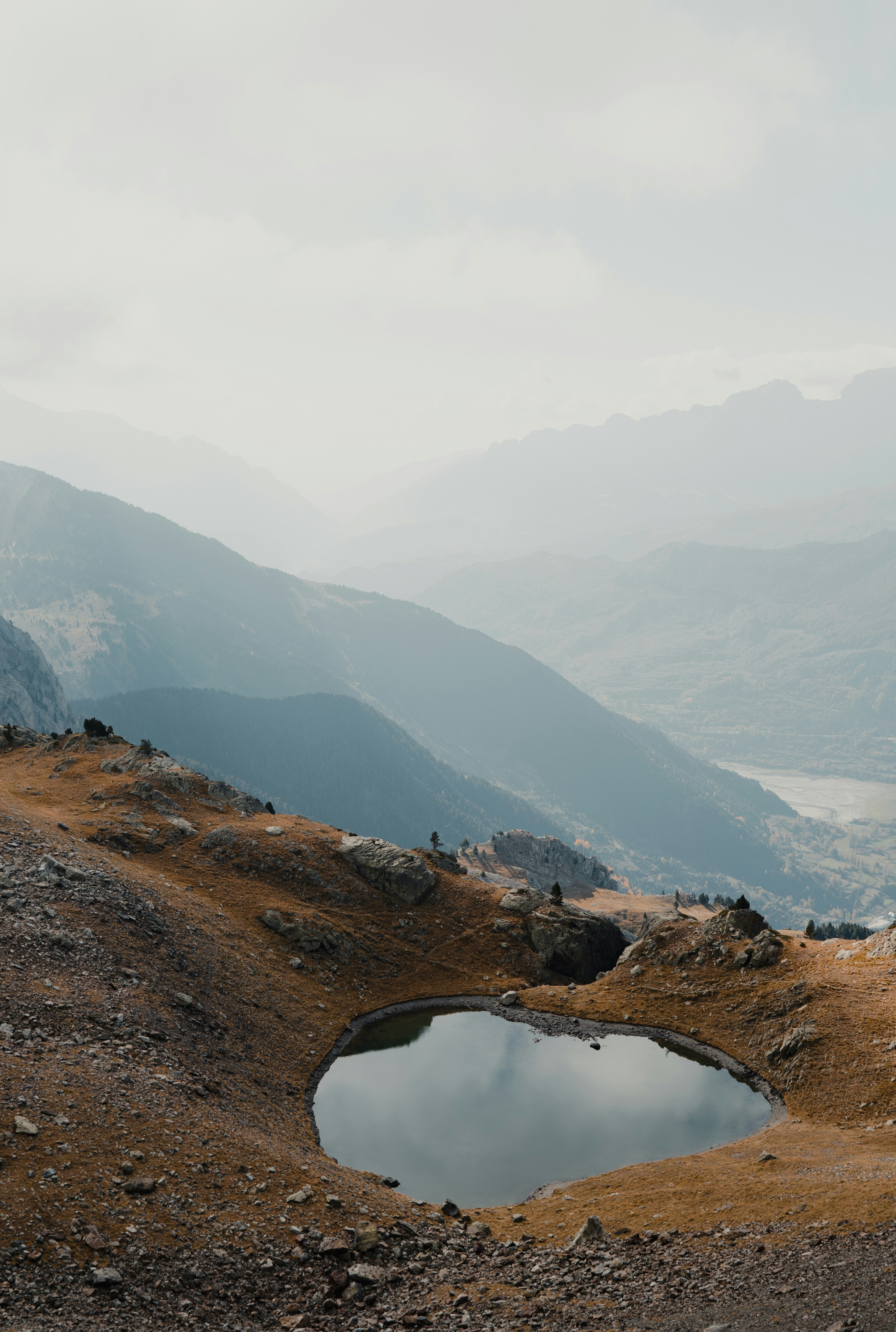 Photo by michielannaert