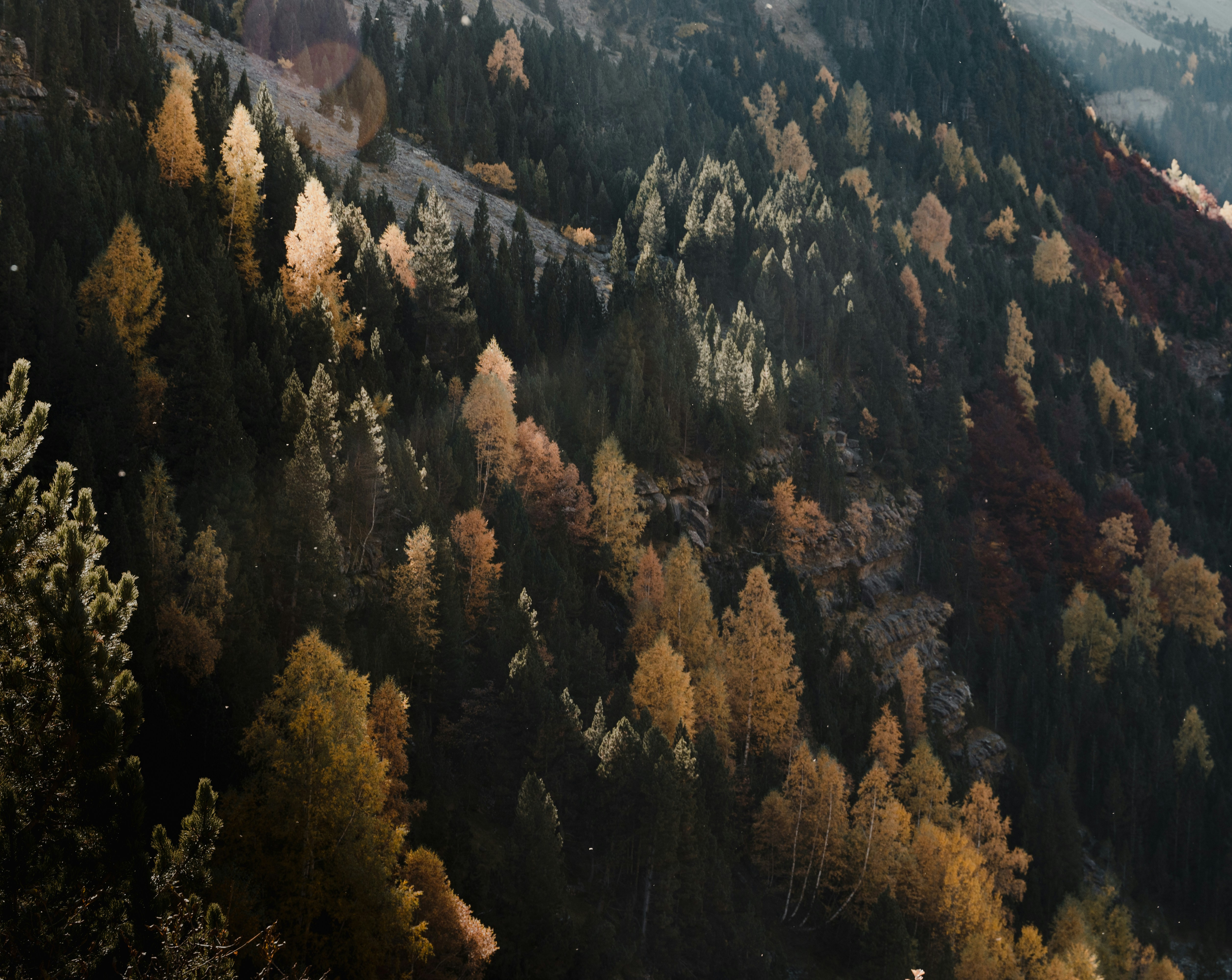 Photo by michielannaert