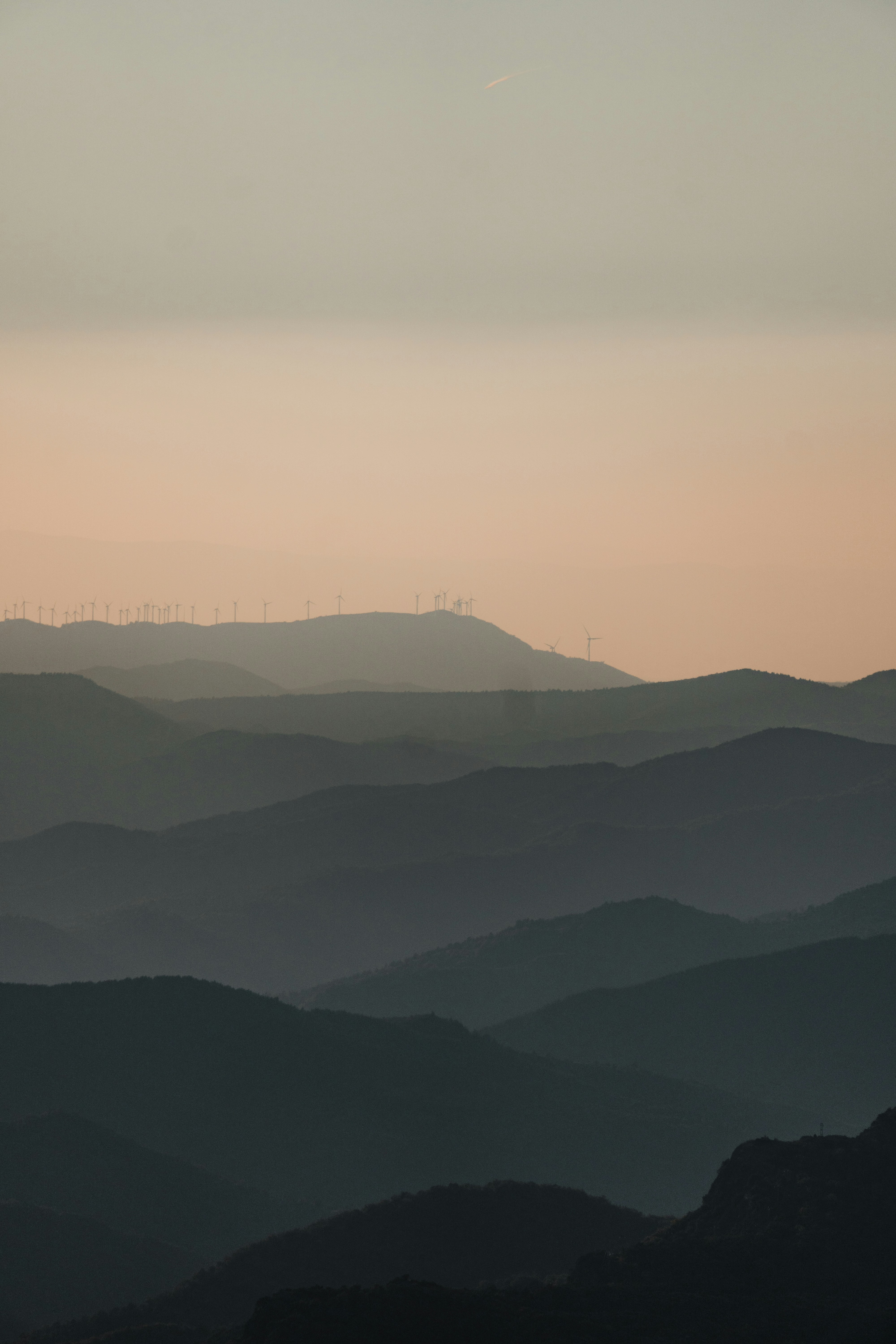 Photo by michielannaert