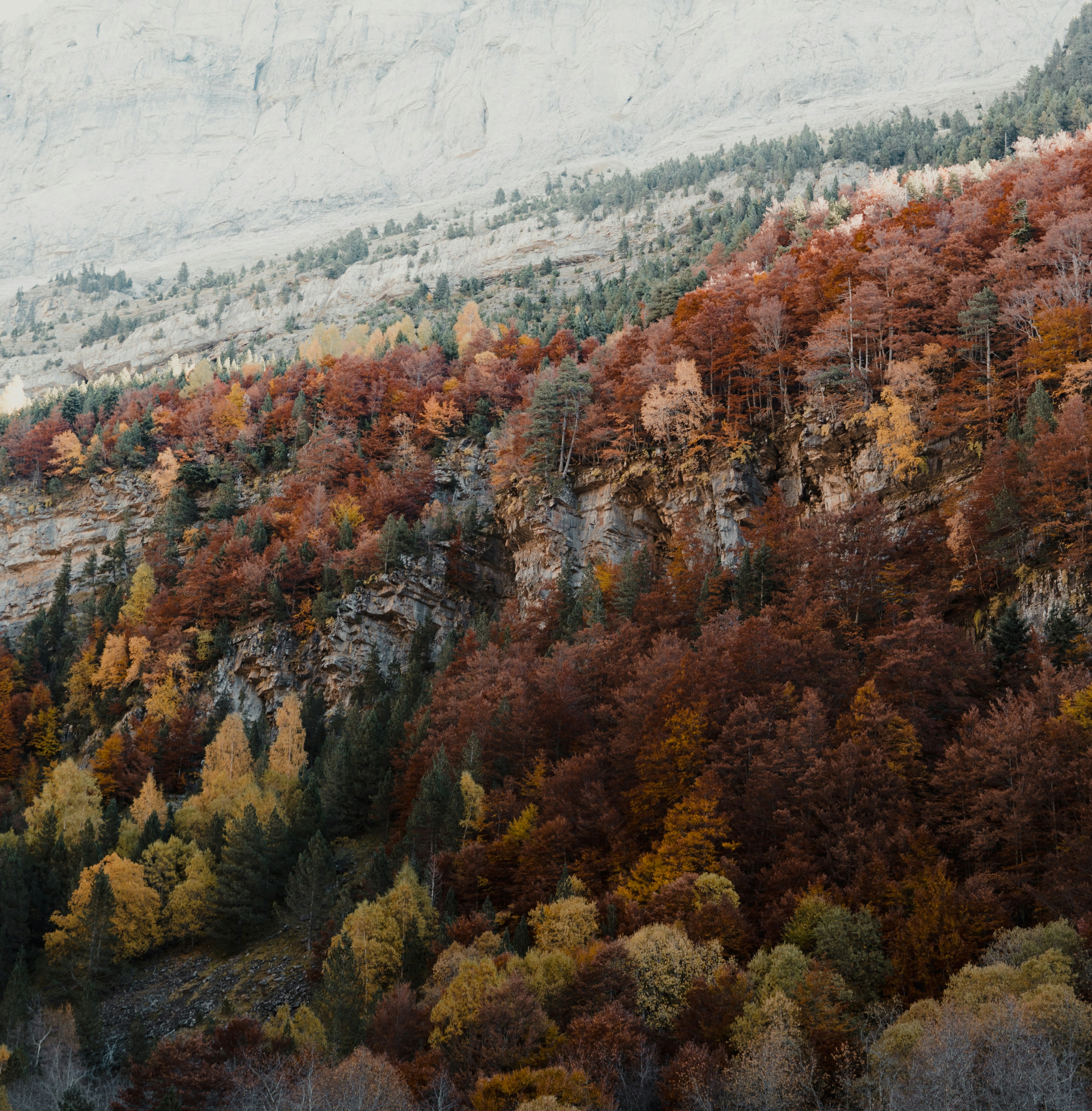 Photo by michielannaert