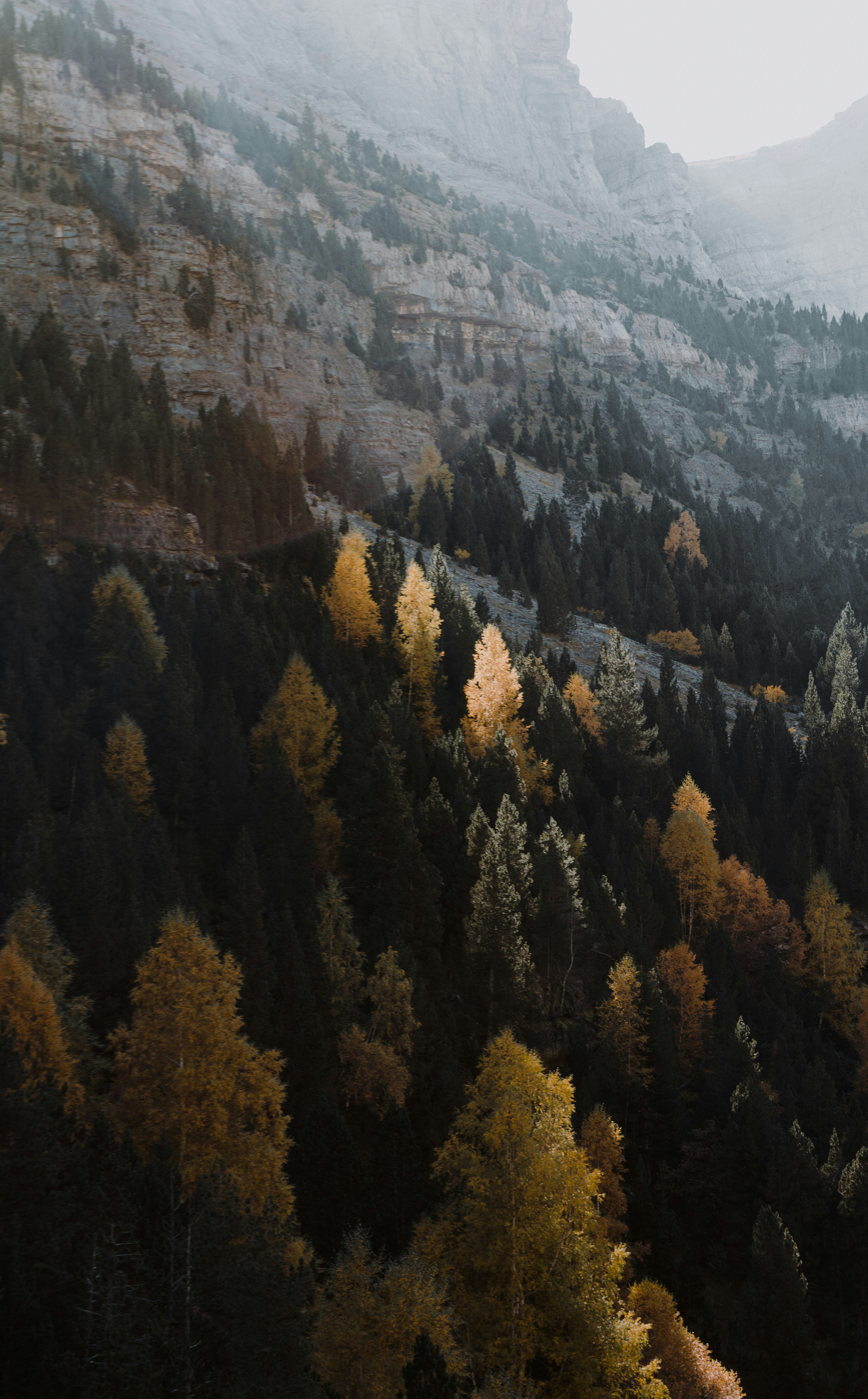 Photo by michielannaert