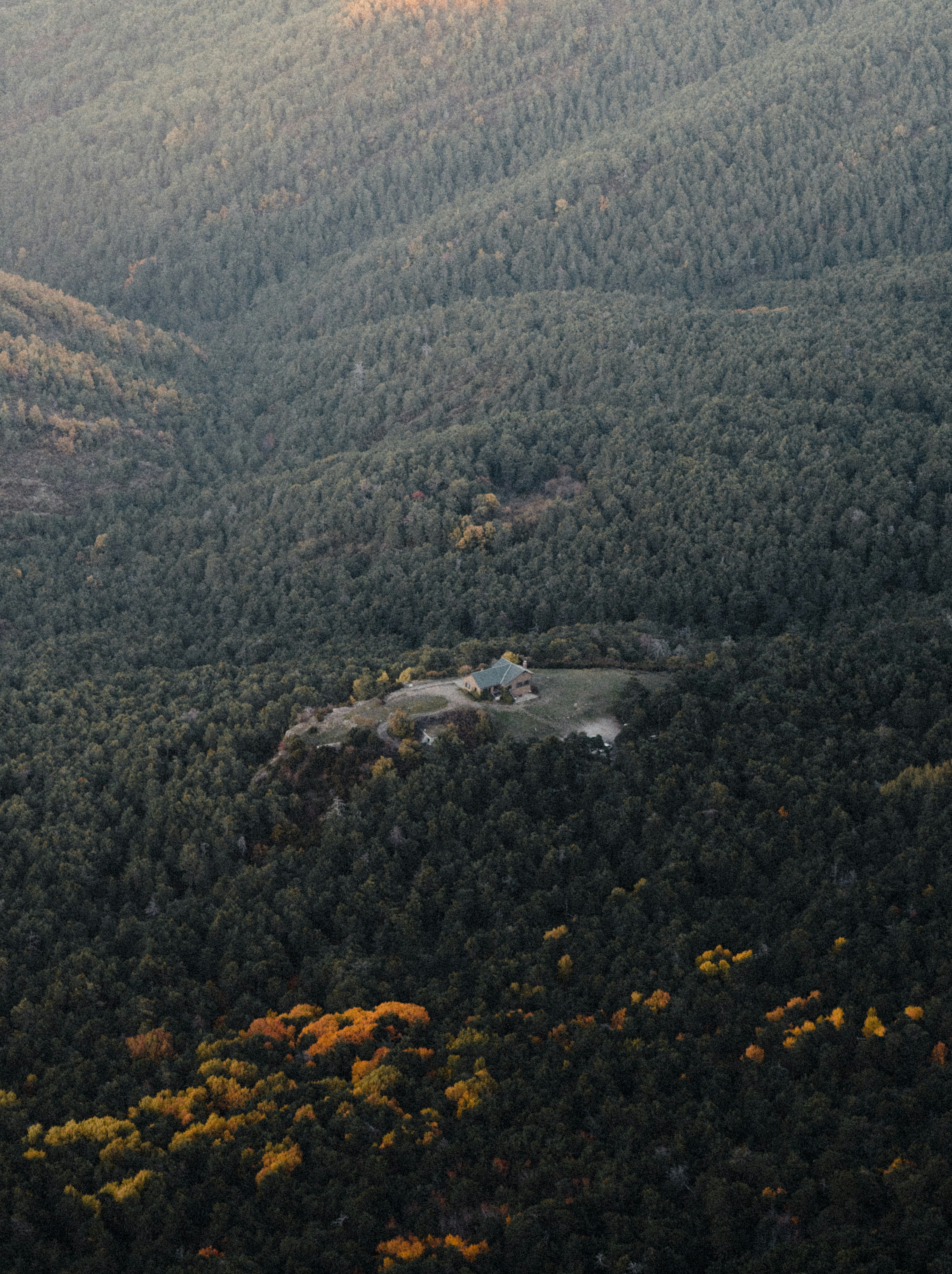 Photo by michielannaert