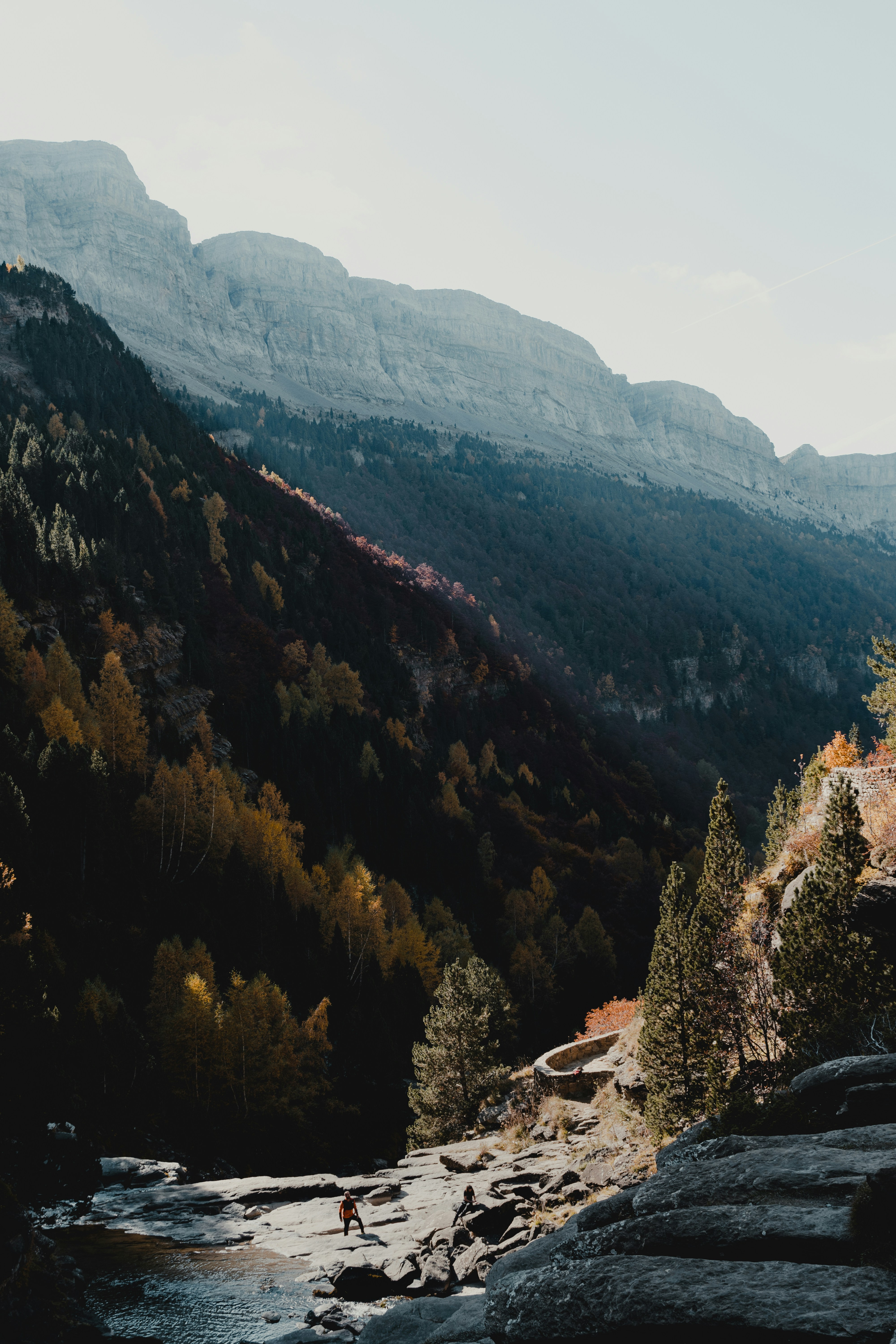 Photo by michielannaert