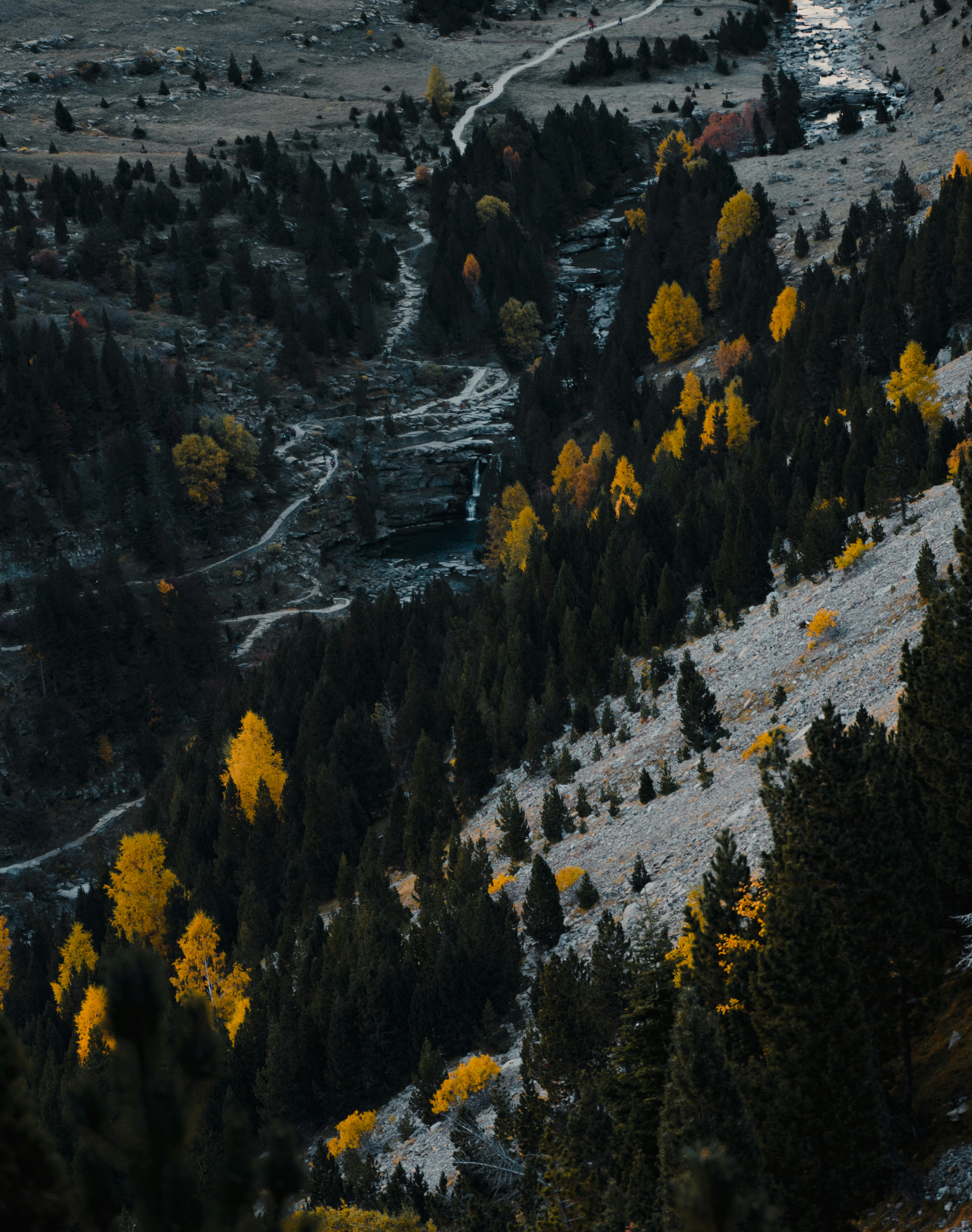 Photo by michielannaert