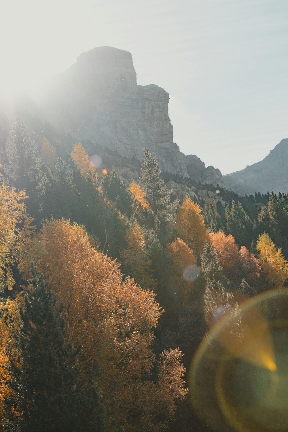 the sun shines brightly on a mountain with trees in the foreground