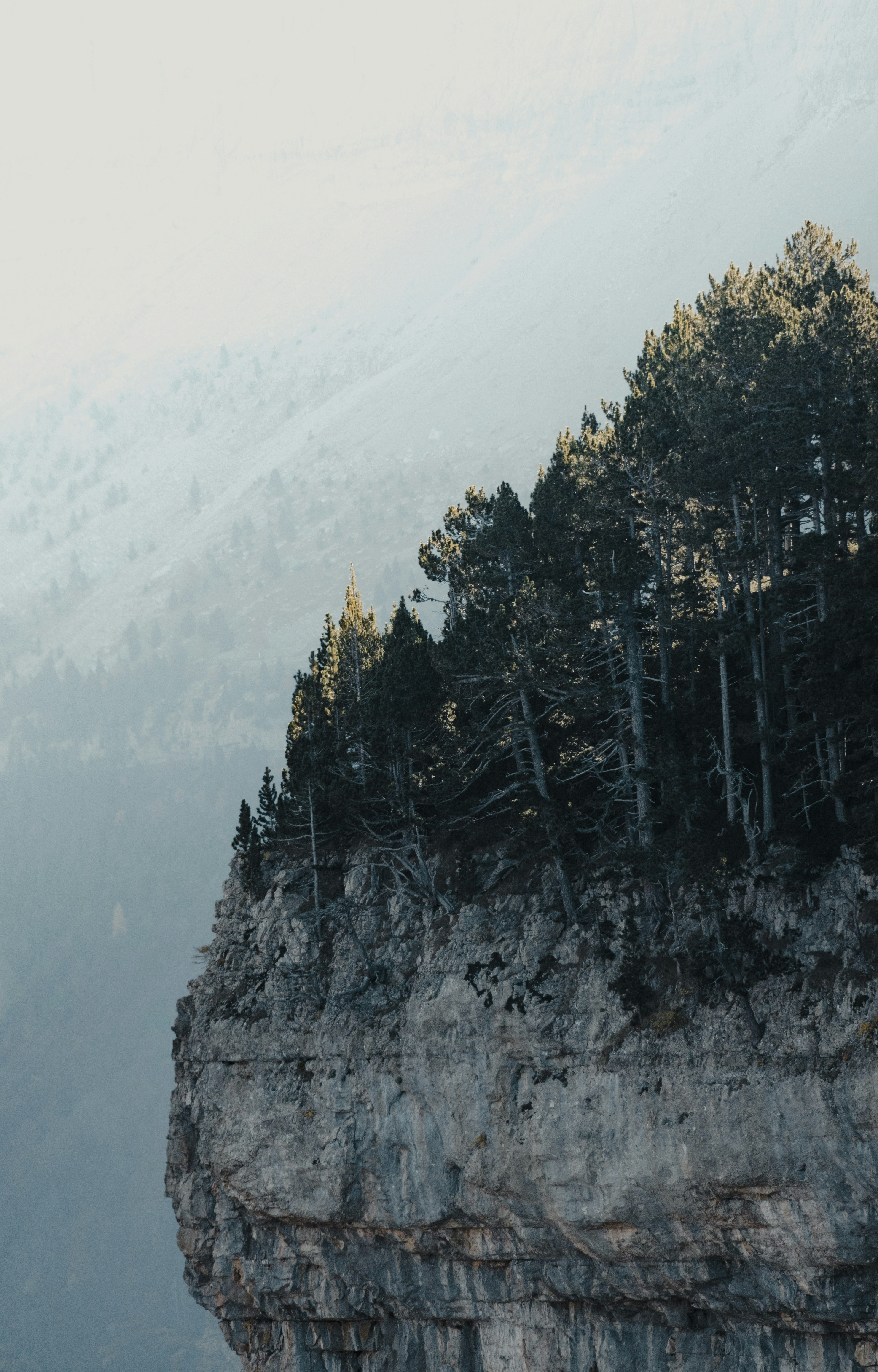 Photo by michielannaert