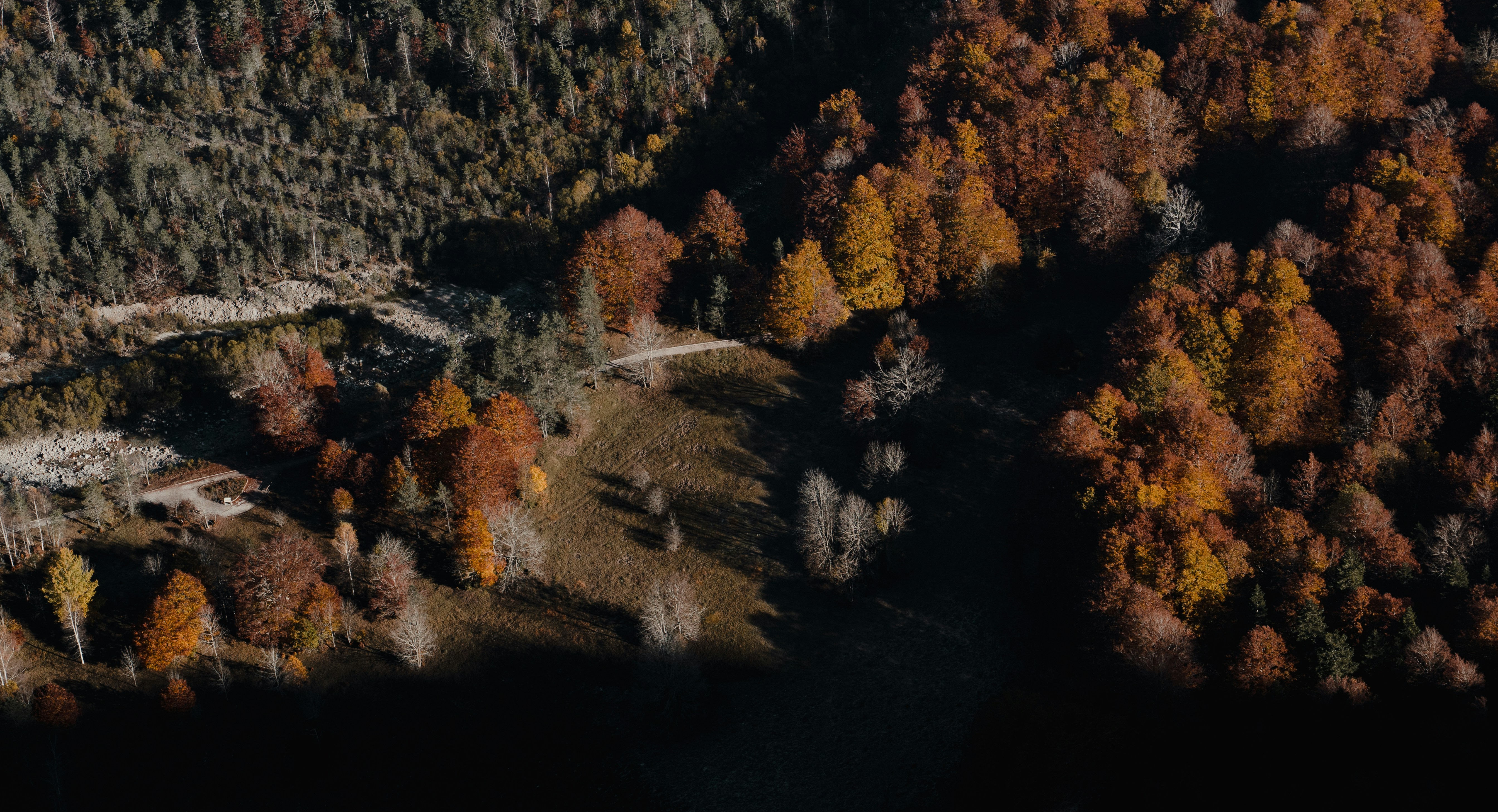 Photo by michielannaert