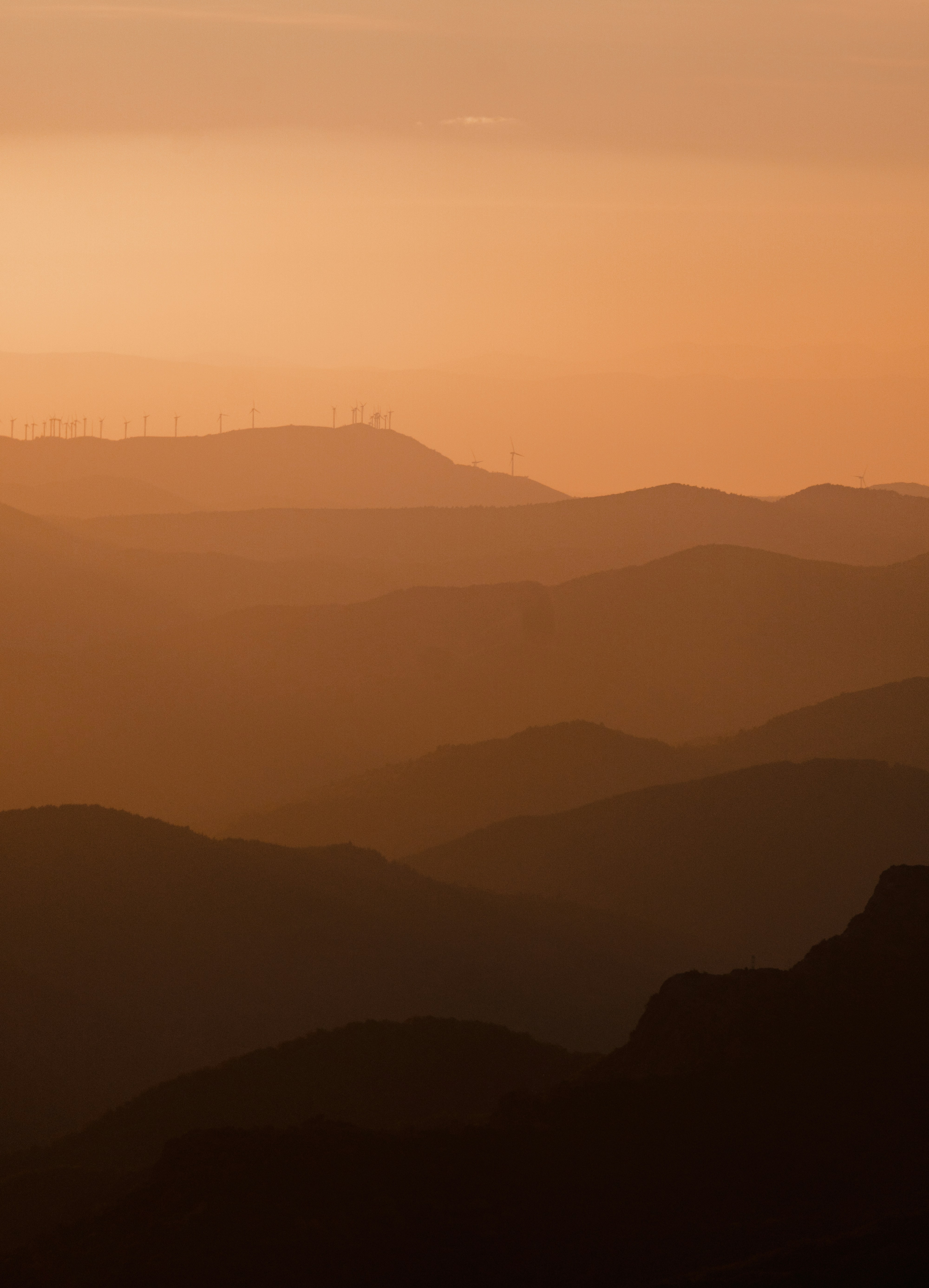 Photo by michielannaert