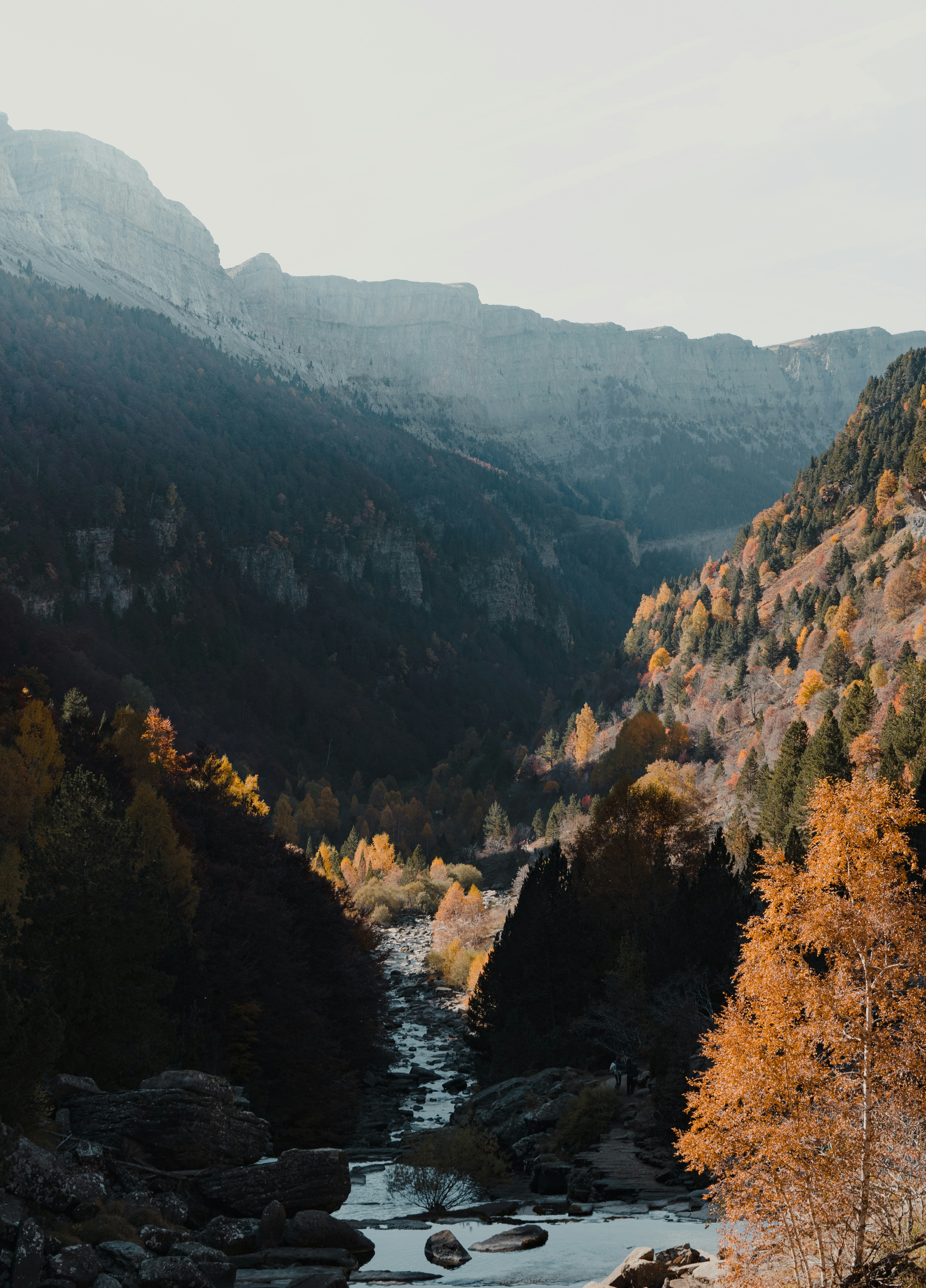 Photo by michielannaert