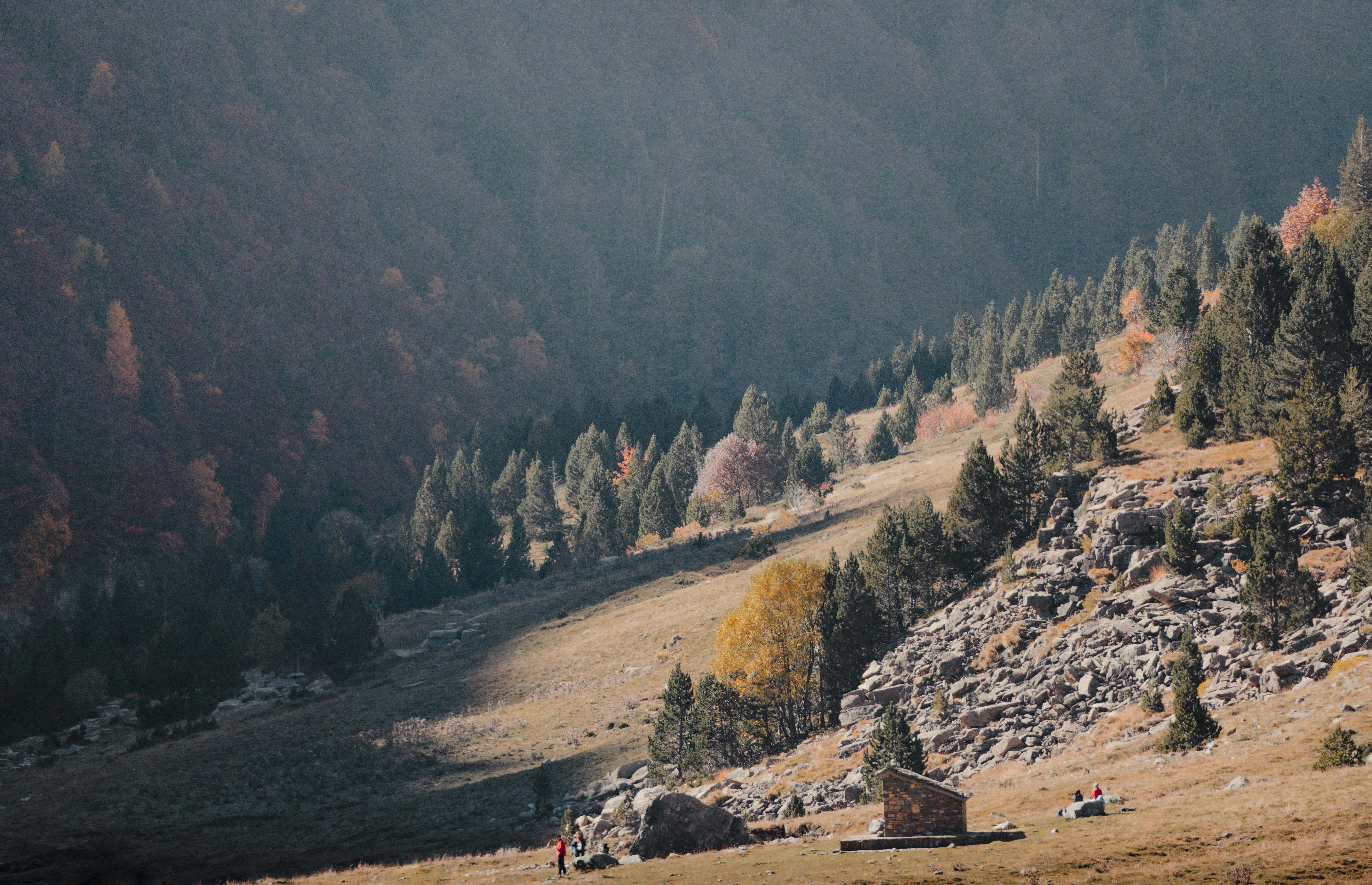Photo by michielannaert