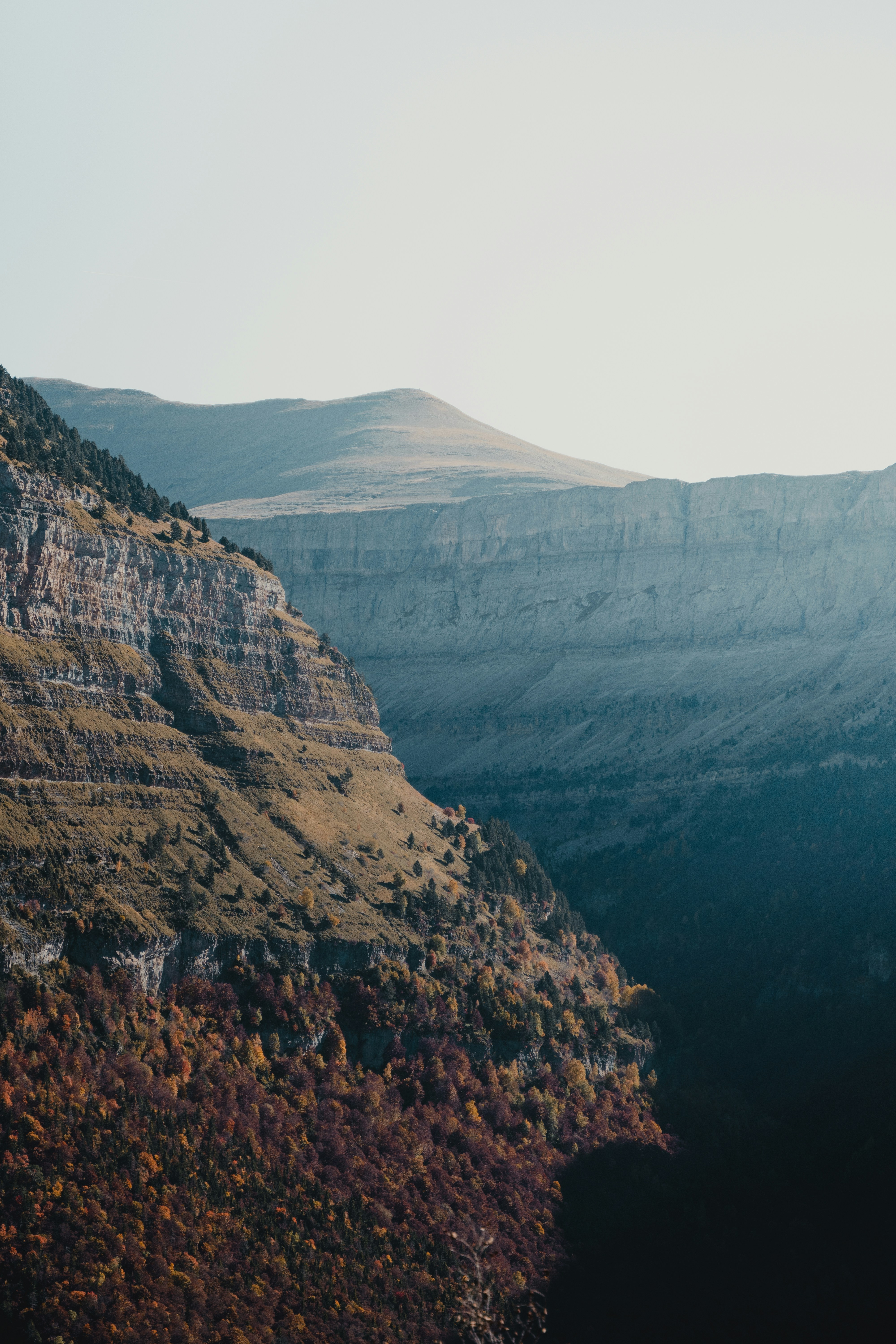 Photo by michielannaert