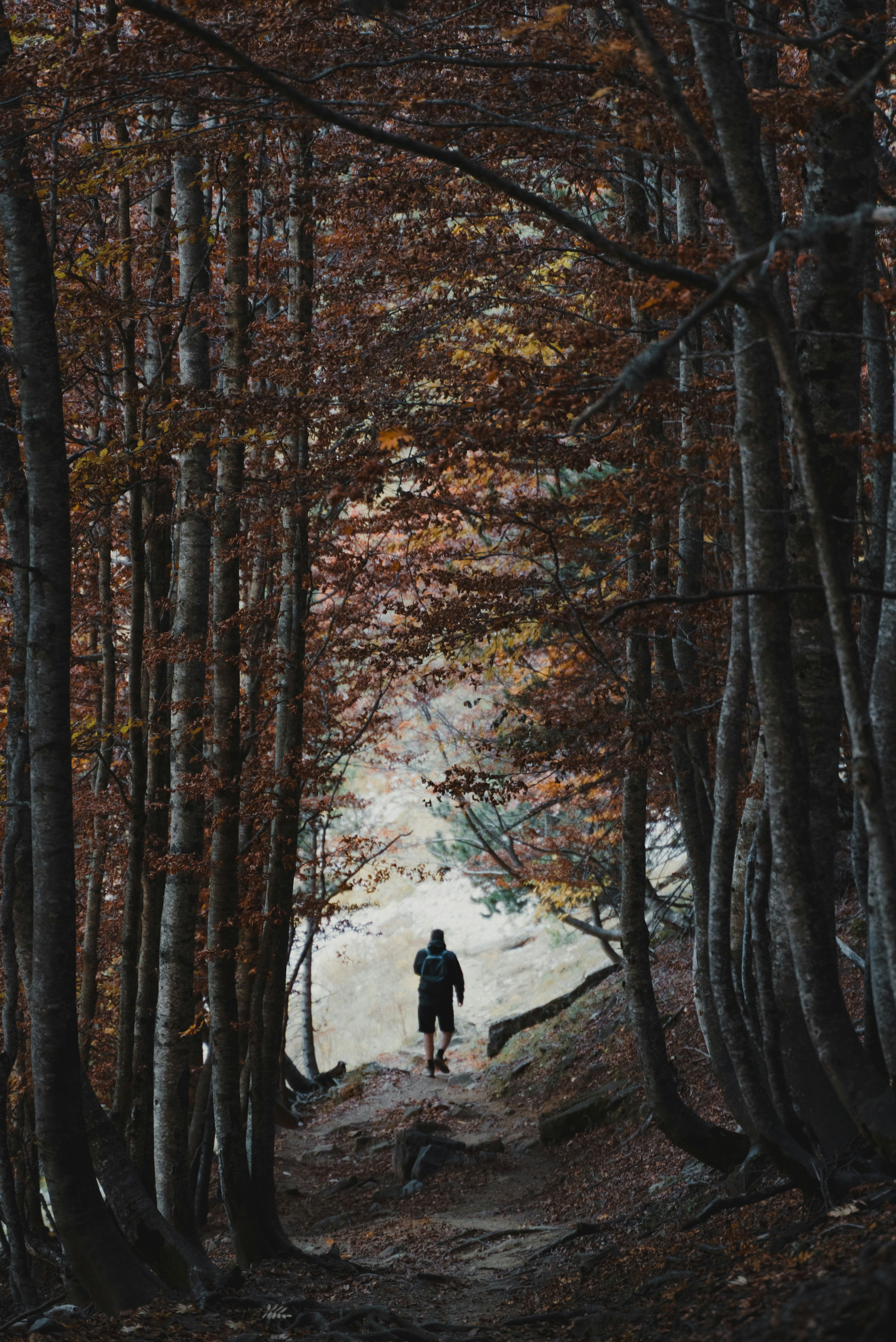 Photo by michielannaert