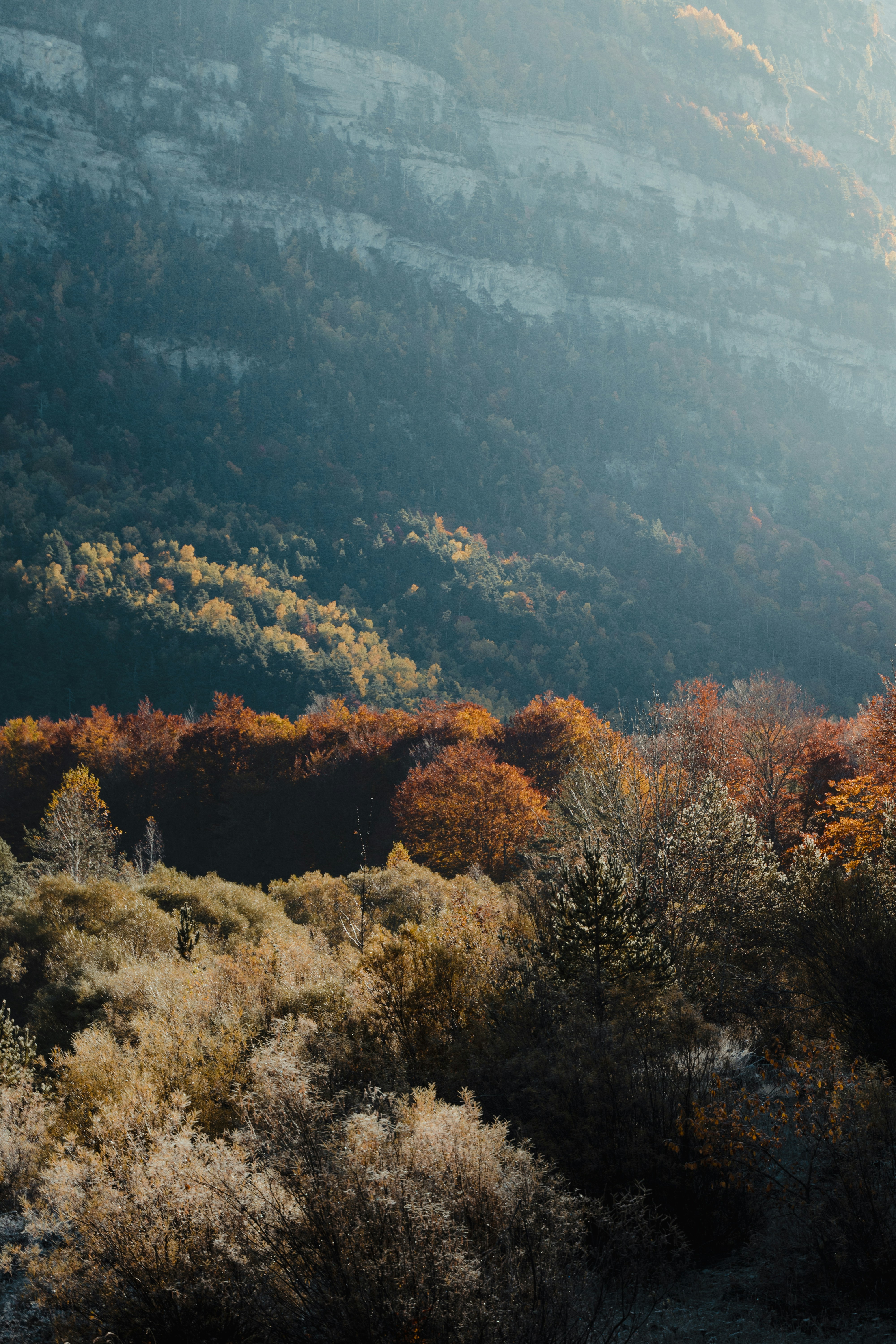 Photo by michielannaert