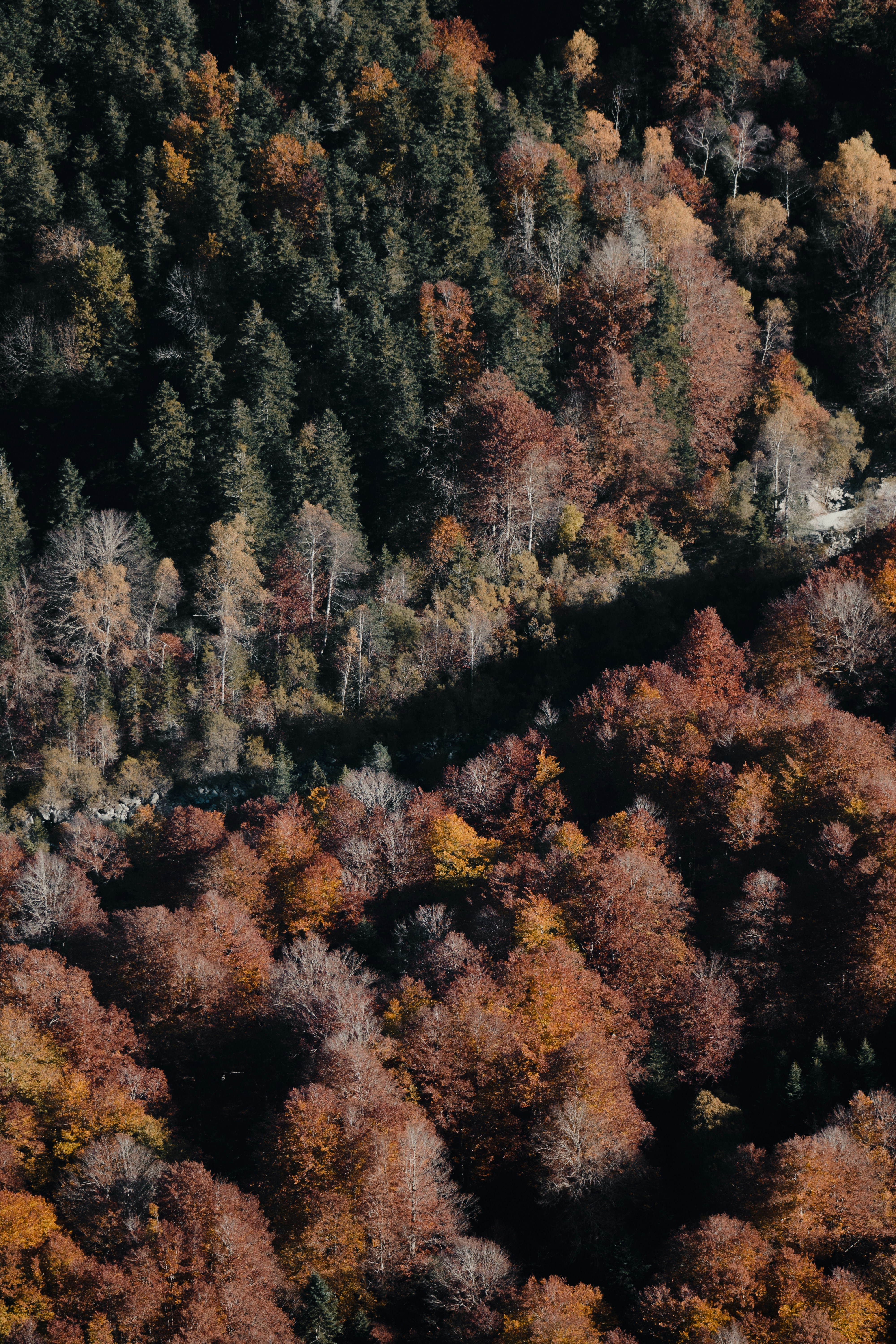 Photo by michielannaert