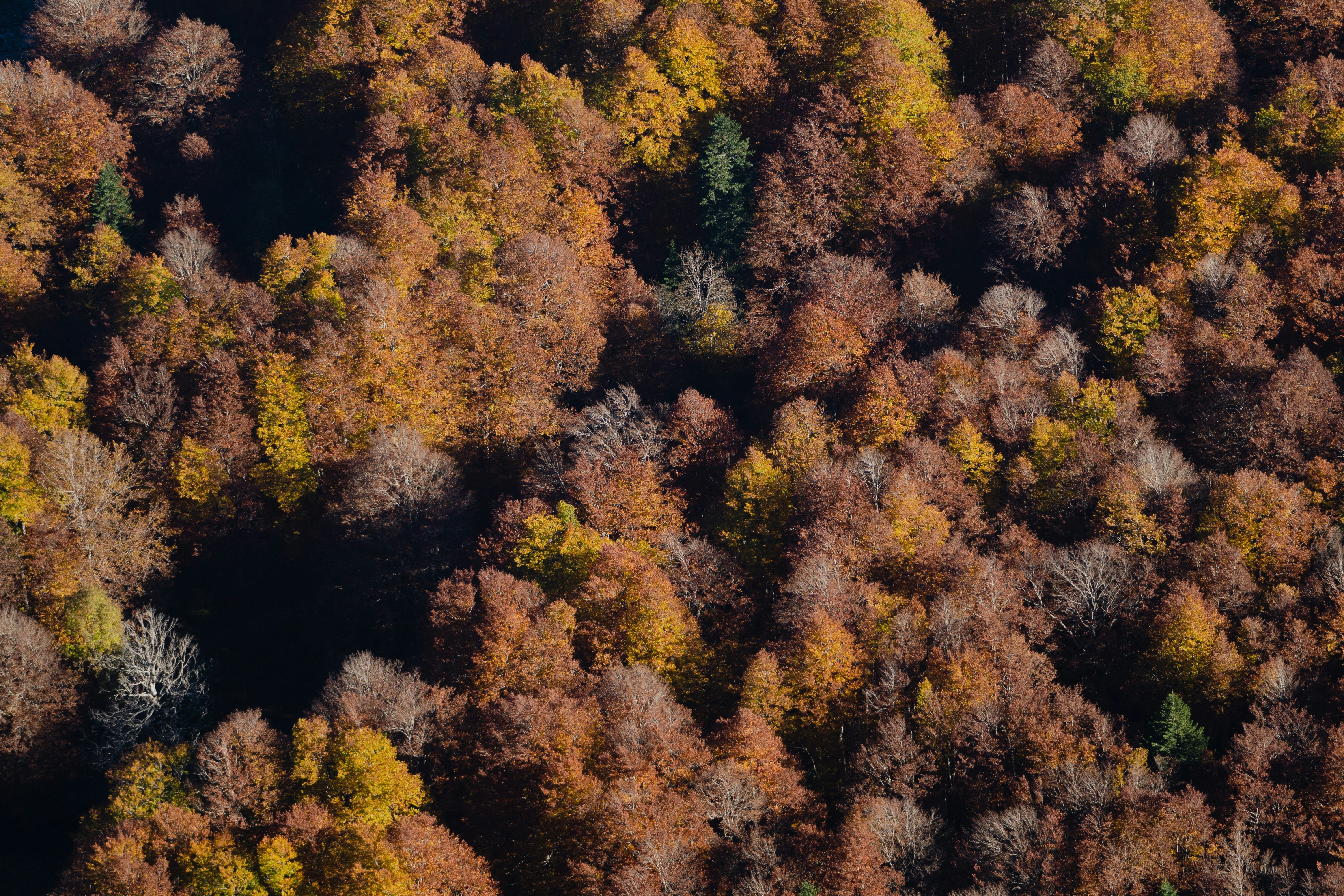 Photo by michielannaert