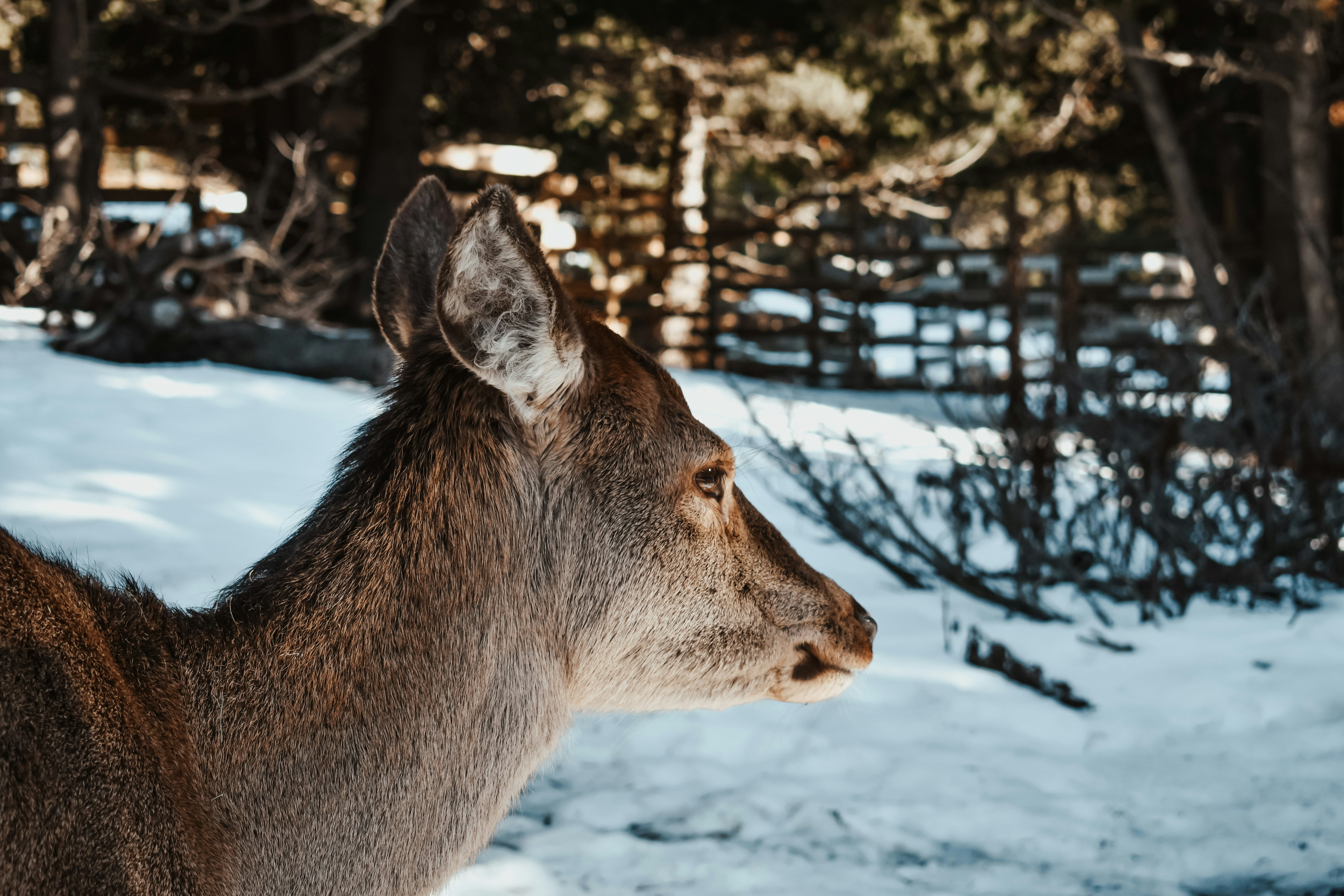 Photo by melaniepicazo