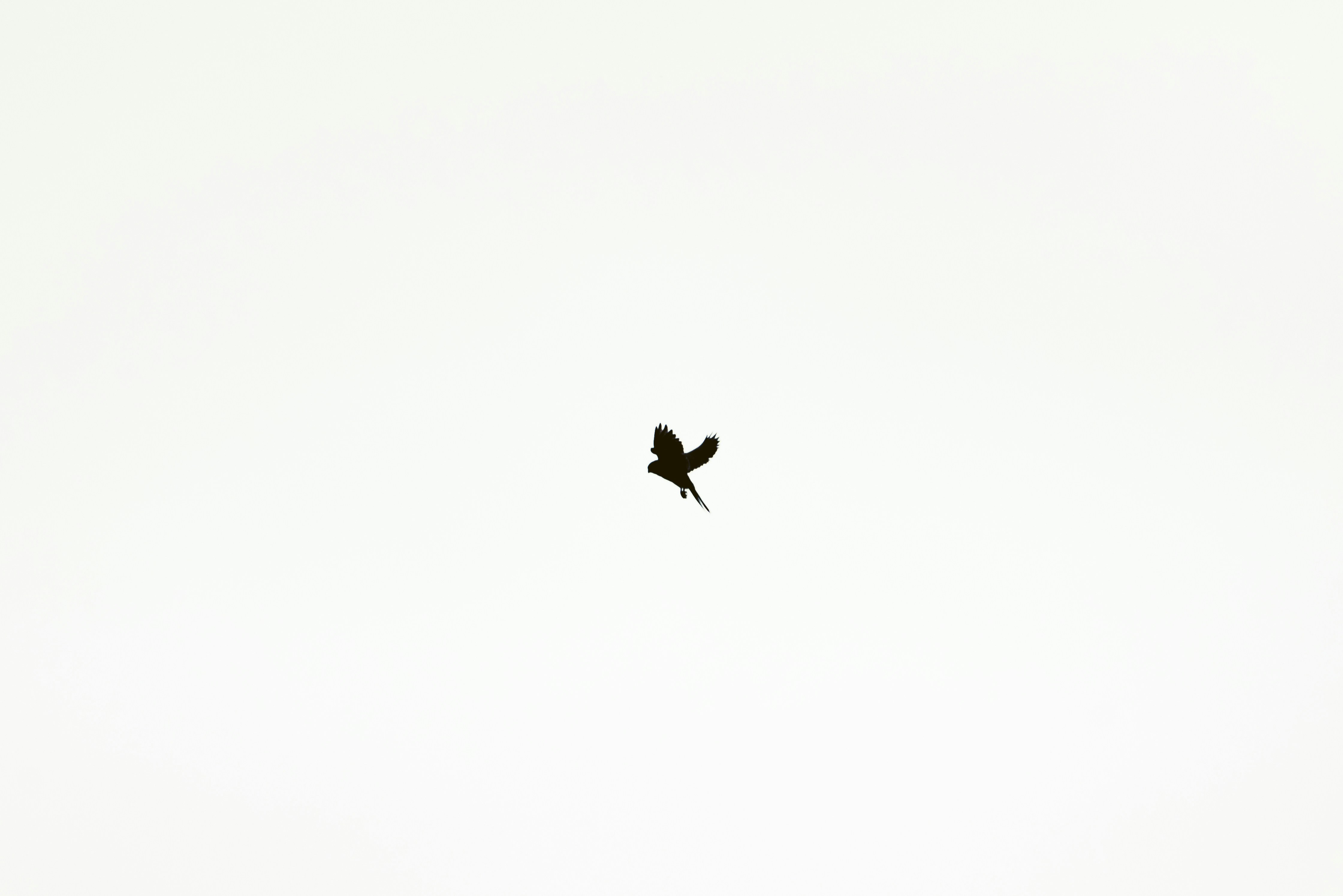 Photo by brotakesphotos