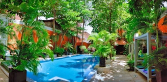 a large swimming pool surrounded by lush green trees