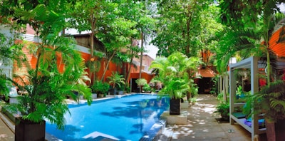 a large swimming pool surrounded by lush green trees