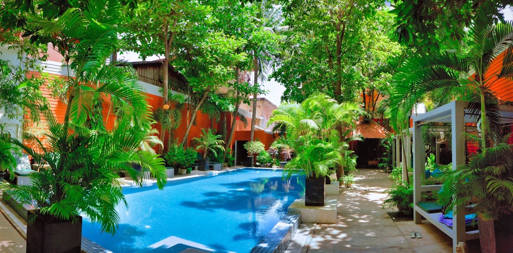 a large swimming pool surrounded by lush green trees