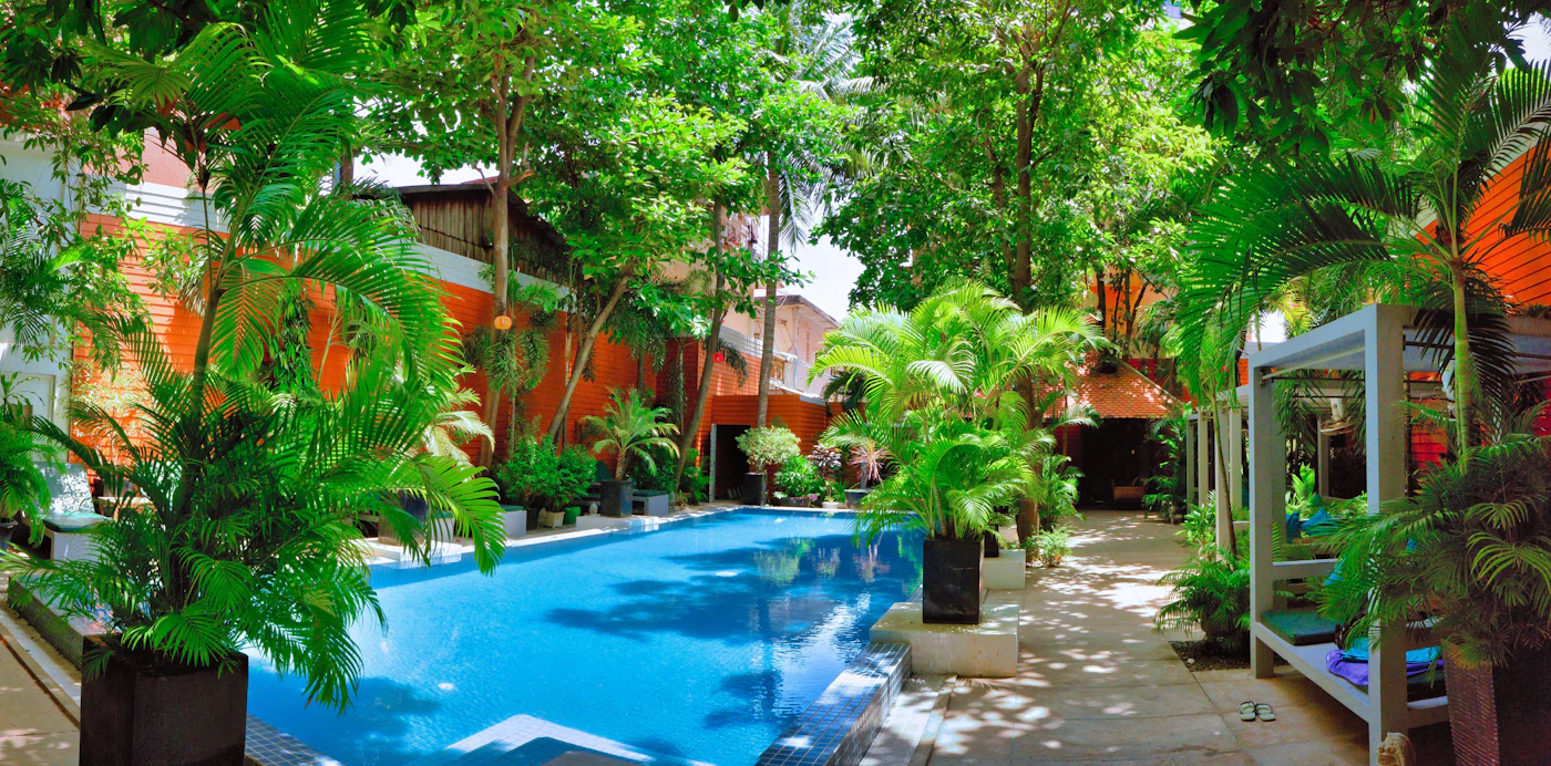 Grande piscine entourée d'arbres et de palmiers
