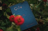 A blue book with embossed designs, featuring the title written in a stylized font, is surrounded by lush green foliage and red flowers. The book cover has an intricate pattern with faded text visible, placed against a natural backdrop creating a harmonious blend of nature and literature.