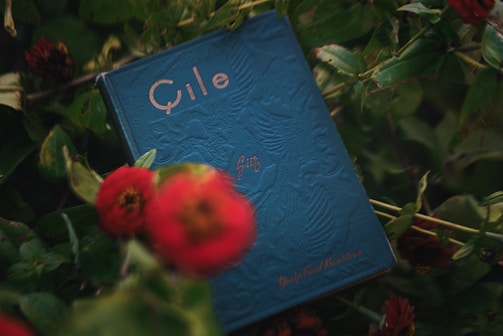 A blue book with embossed designs, featuring the title written in a stylized font, is surrounded by lush green foliage and red flowers. The book cover has an intricate pattern with faded text visible, placed against a natural backdrop creating a harmonious blend of nature and literature.