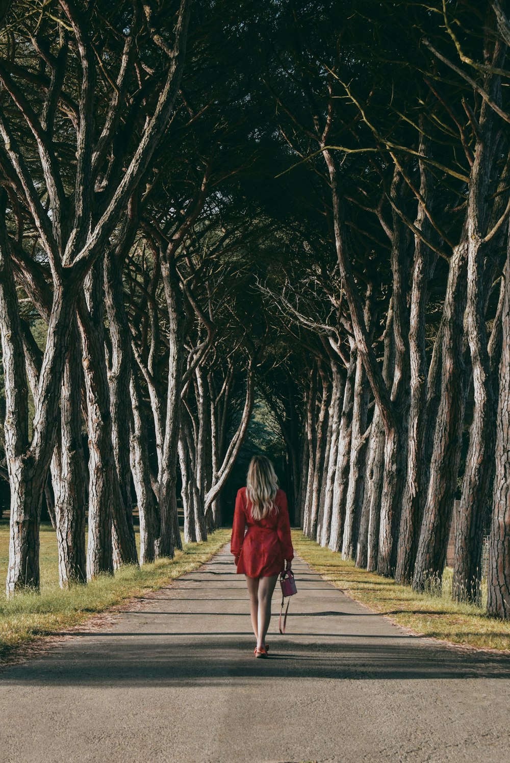a woman in a red dress walking down a tree lined road