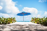 a blue umbrella sitting on top of a sandy beach