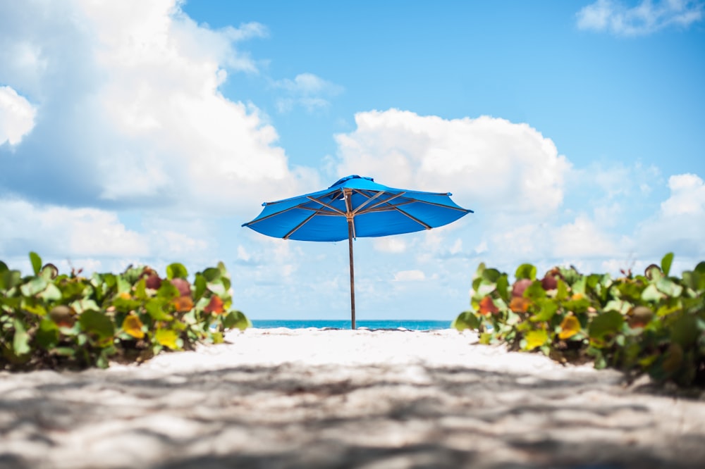 모래 사장 위에 앉아있는 푸른 우산