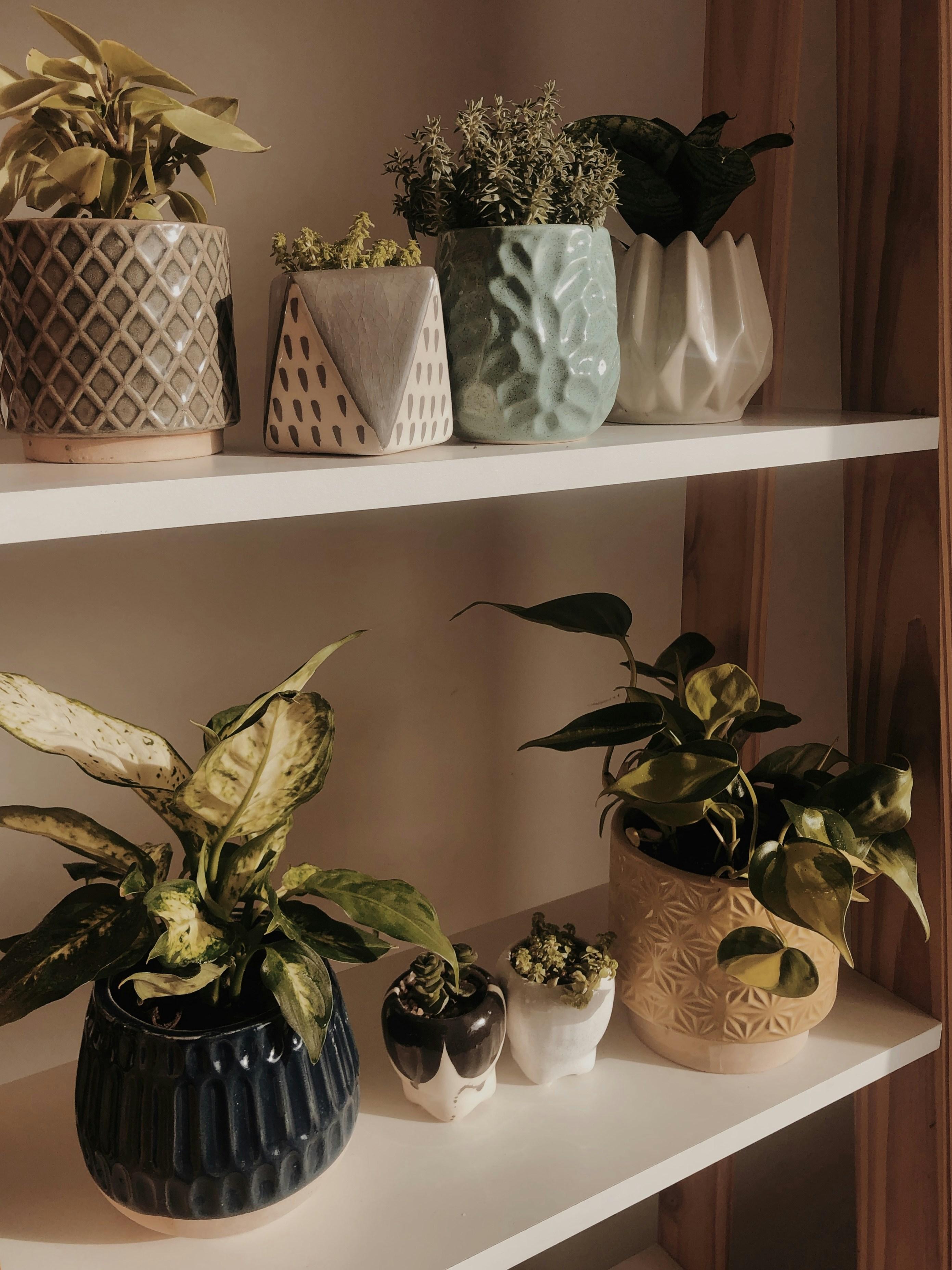 Photo by sanperalesr