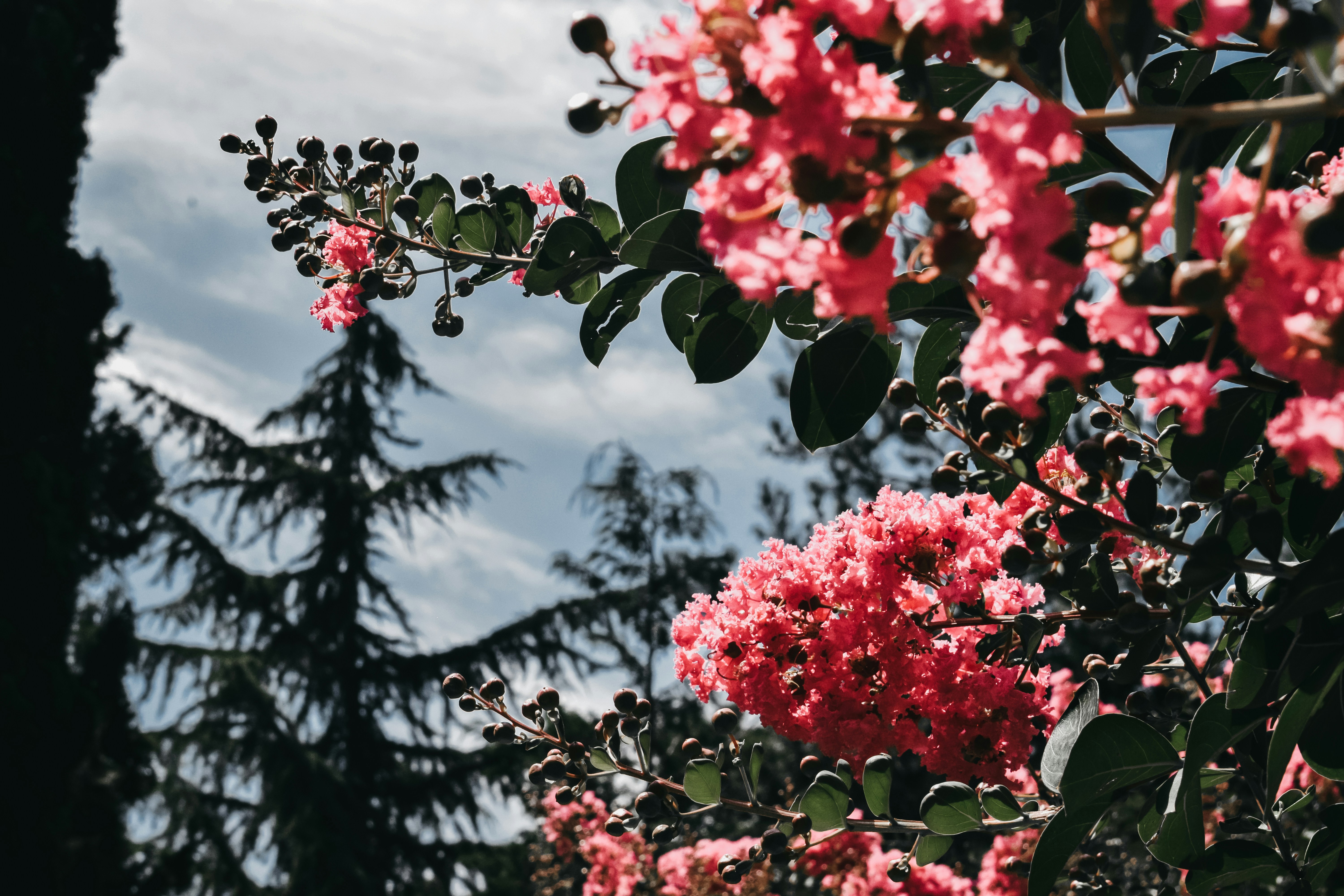 Photo by darya_tryfanava