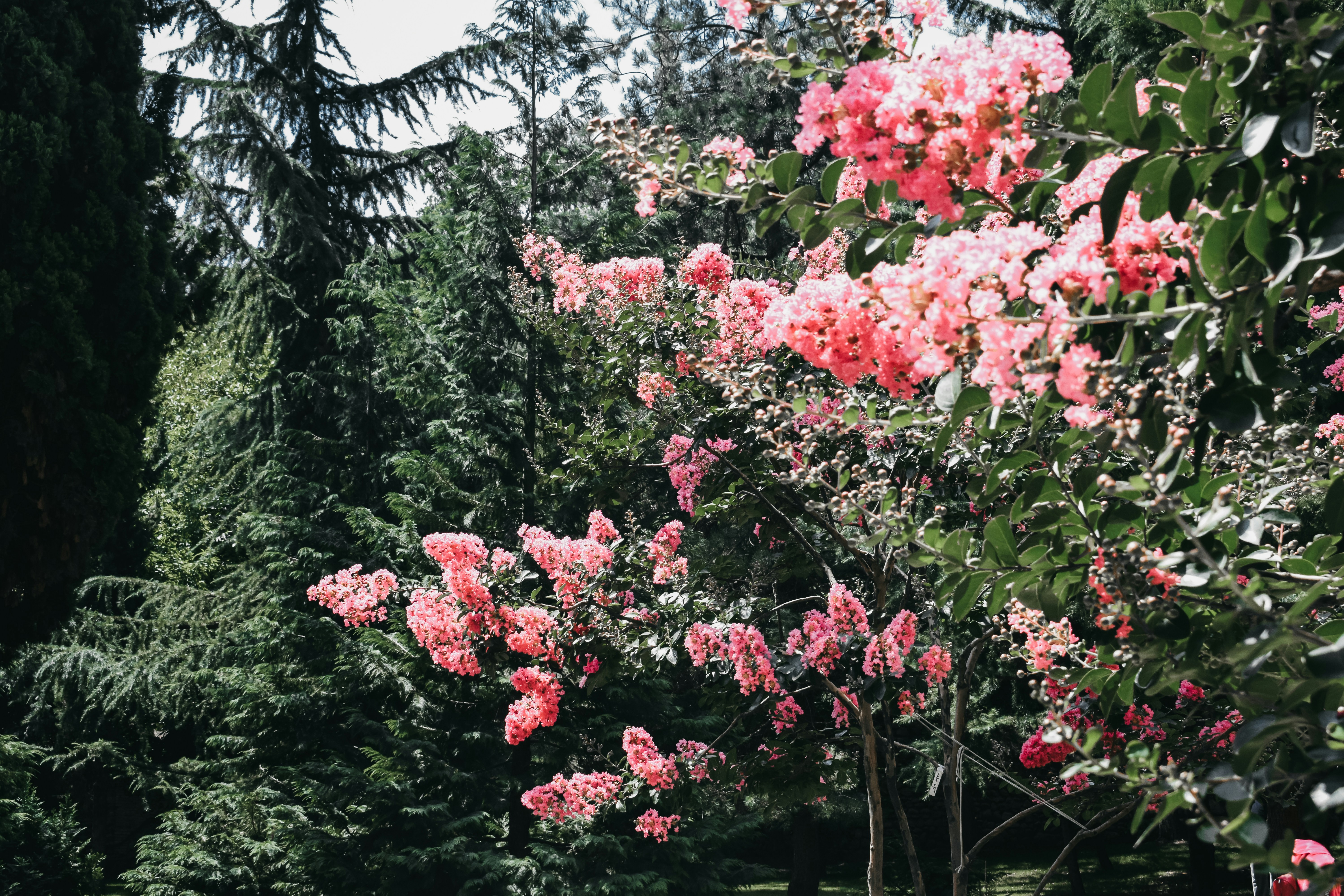 Photo by darya_tryfanava