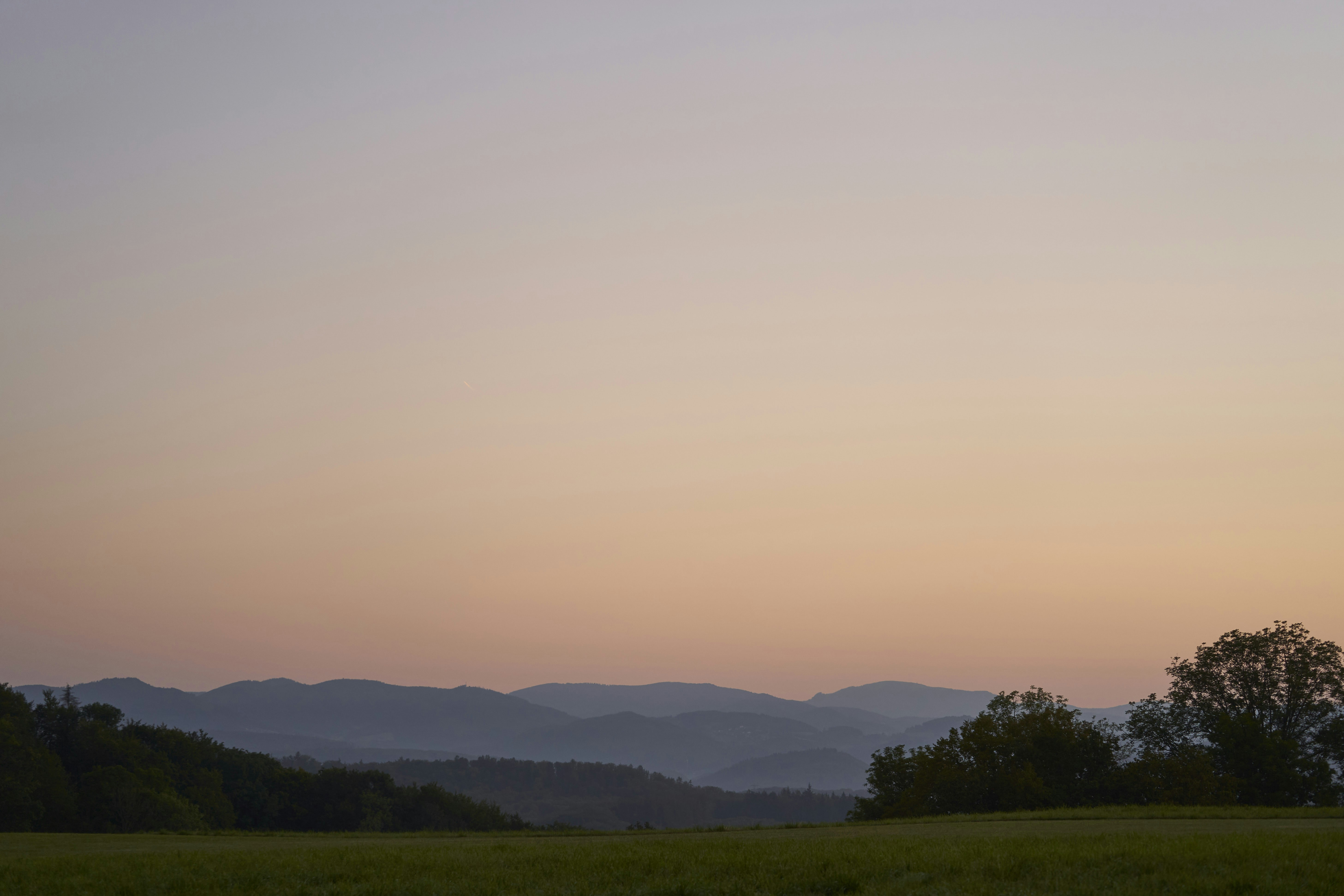 Photo by wolfgang_hasselmann