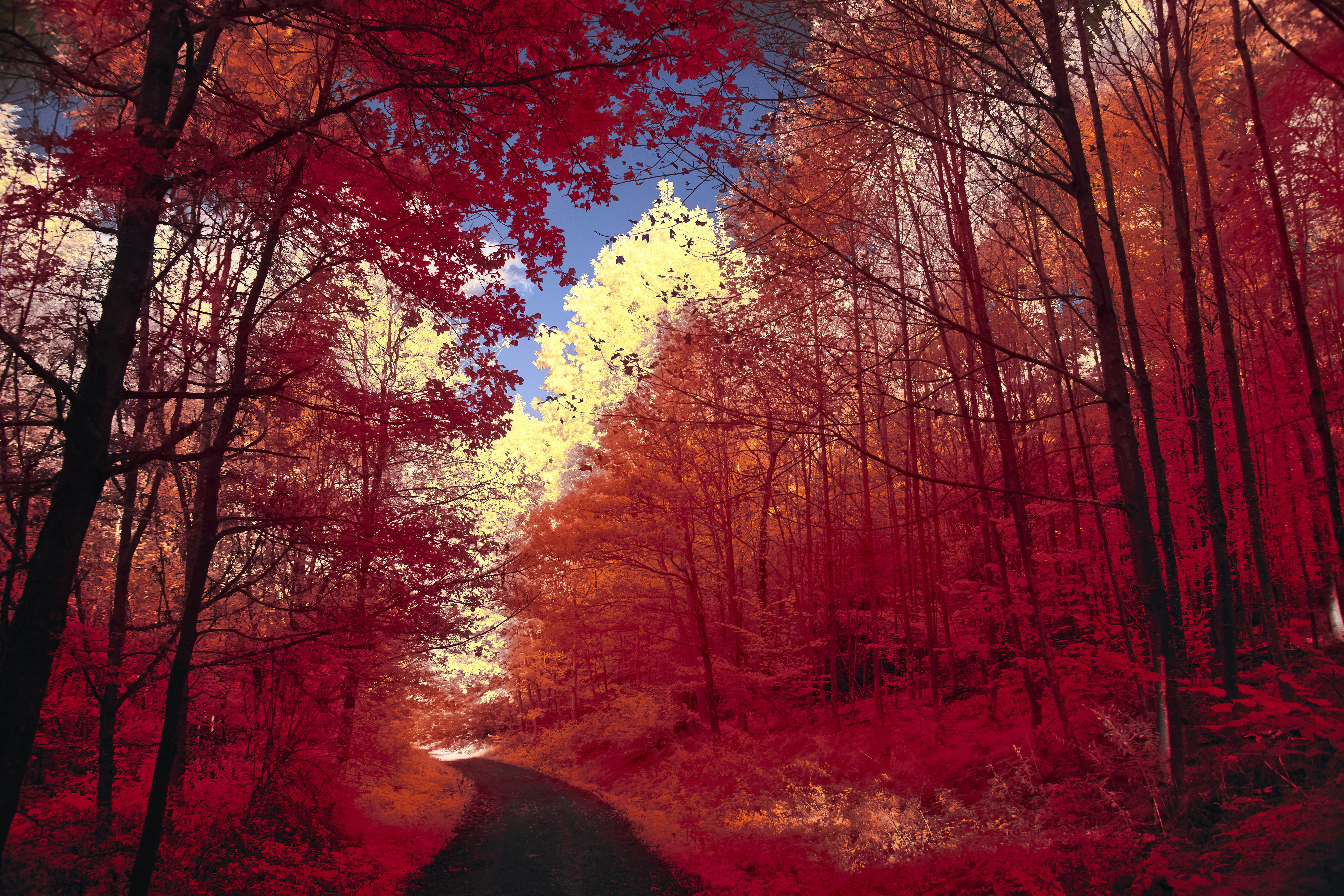 Photo by wolfgang_hasselmann