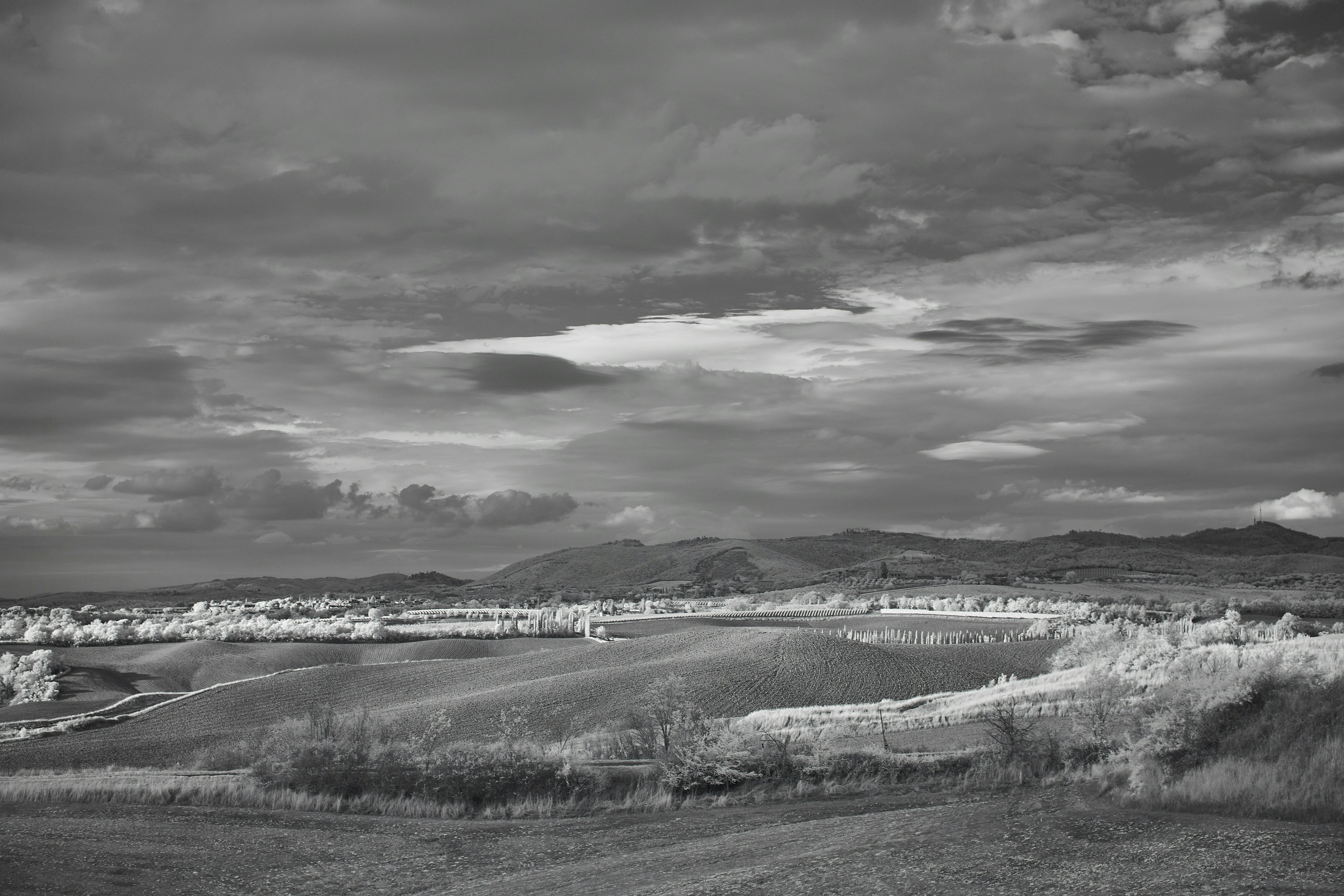 Photo by wolfgang_hasselmann