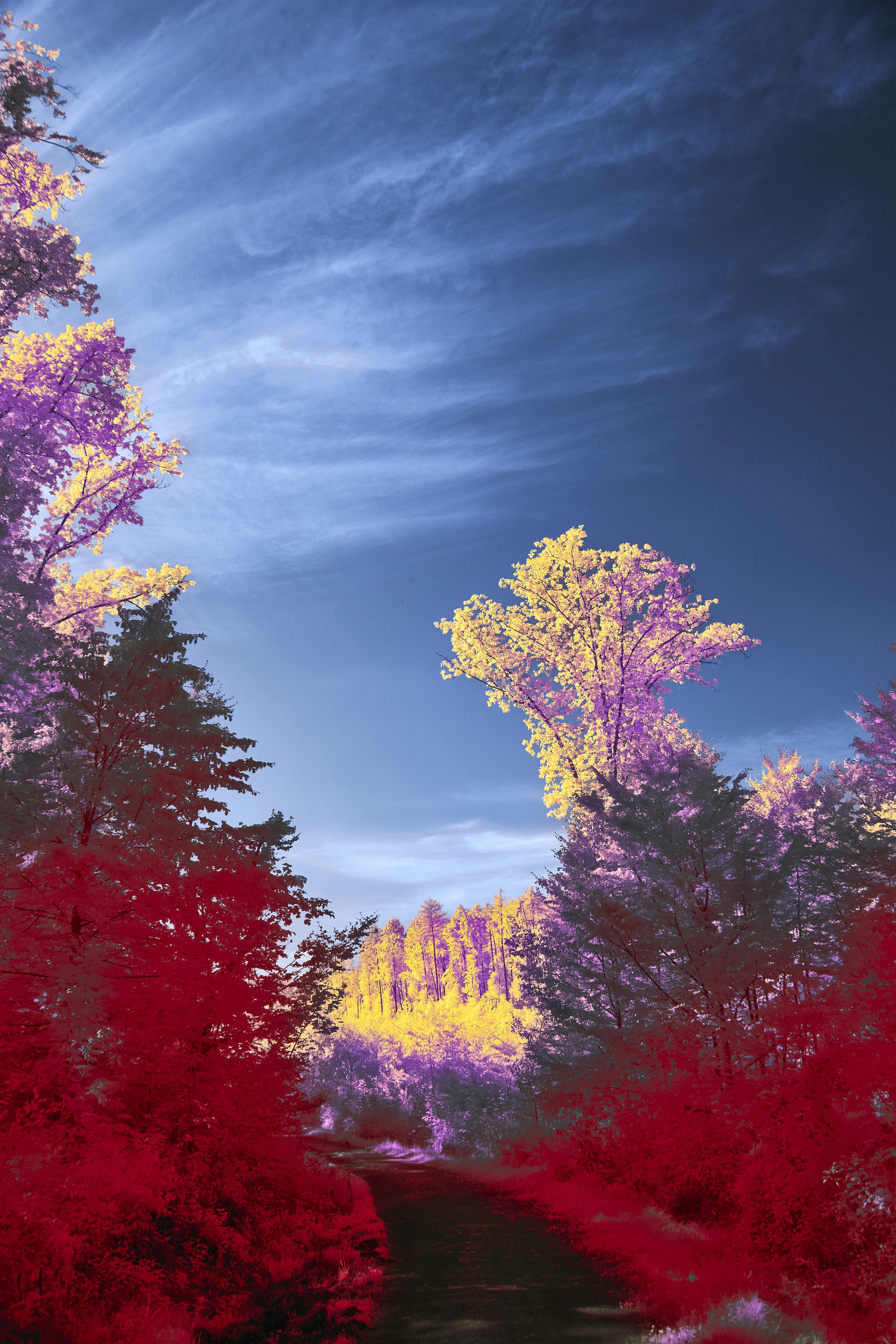 Photo by wolfgang_hasselmann