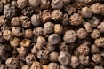 a close up of a bunch of brown mushrooms