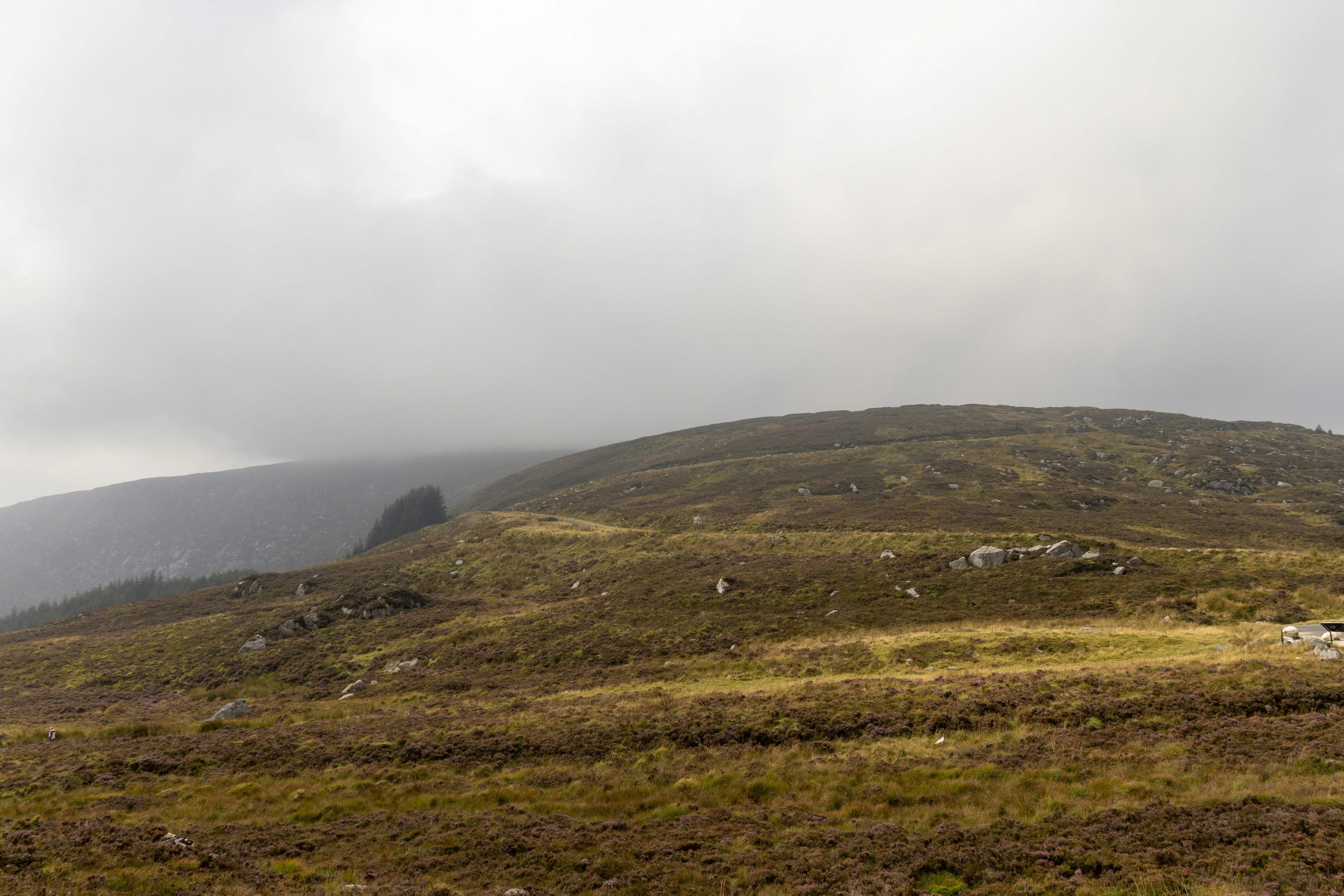 Photo by pokornymichal