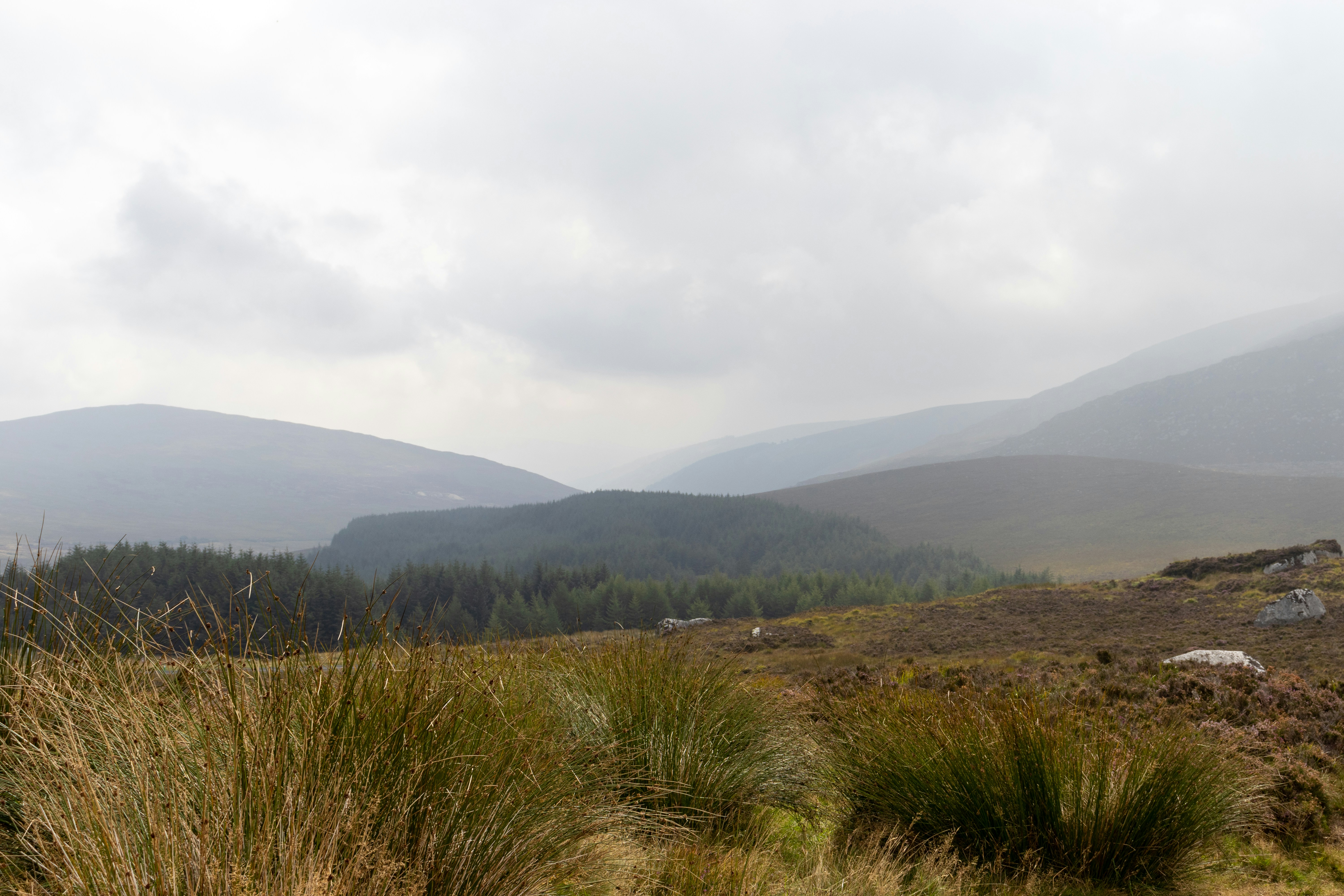 Photo by pokornymichal