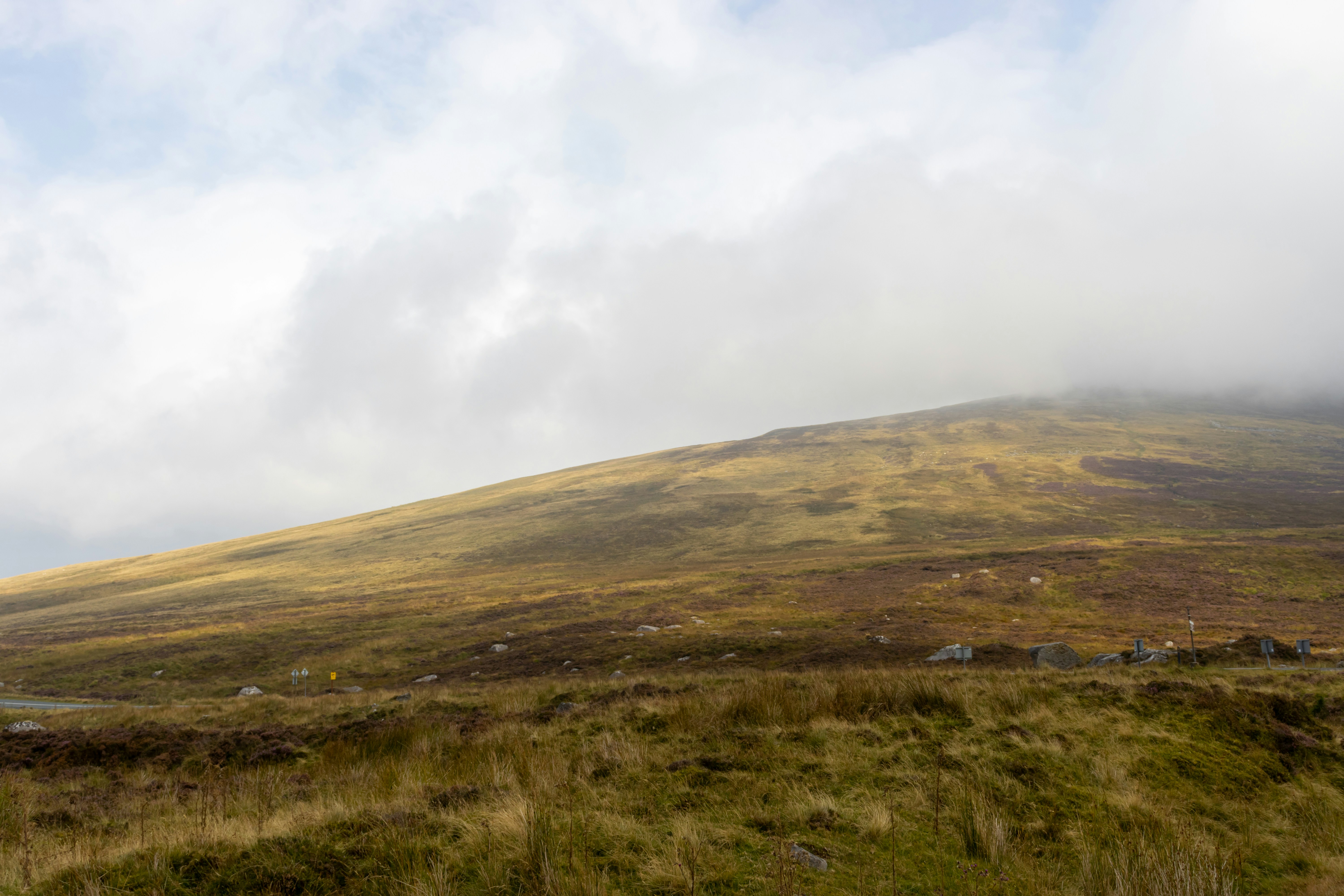 Photo by pokornymichal